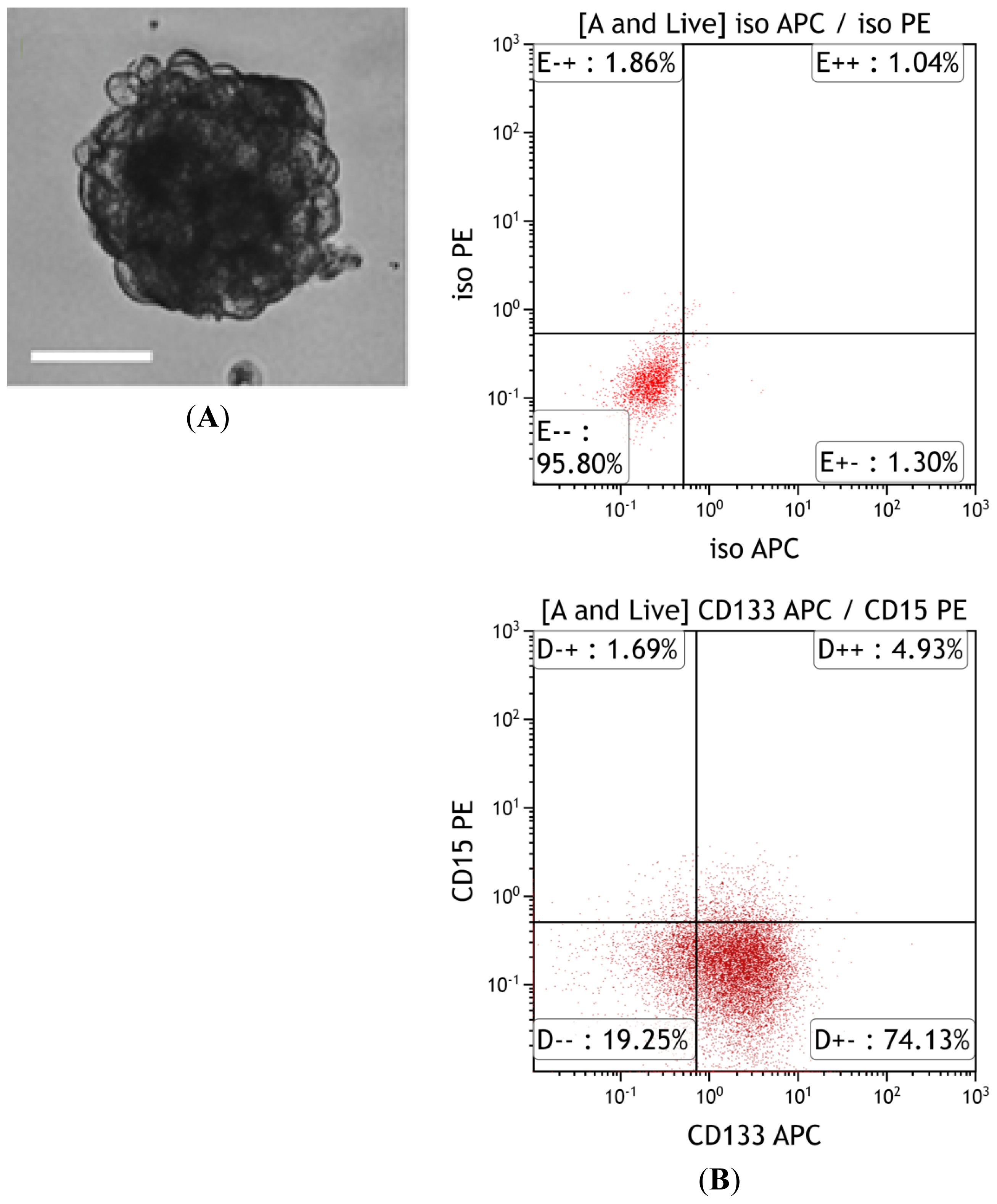 Ijms 15 09117f2 1024