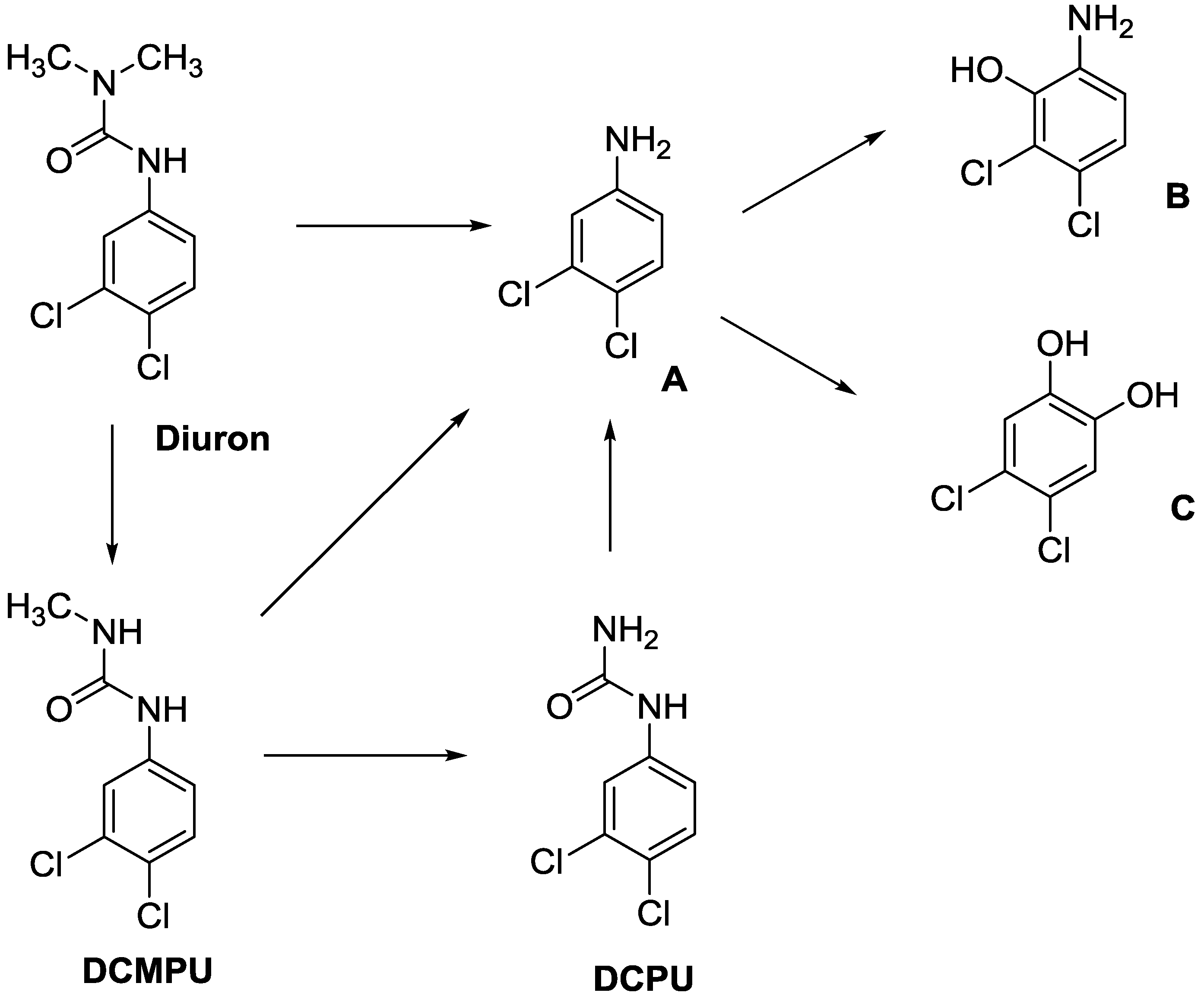 Ijms 15 09255 g001 1024