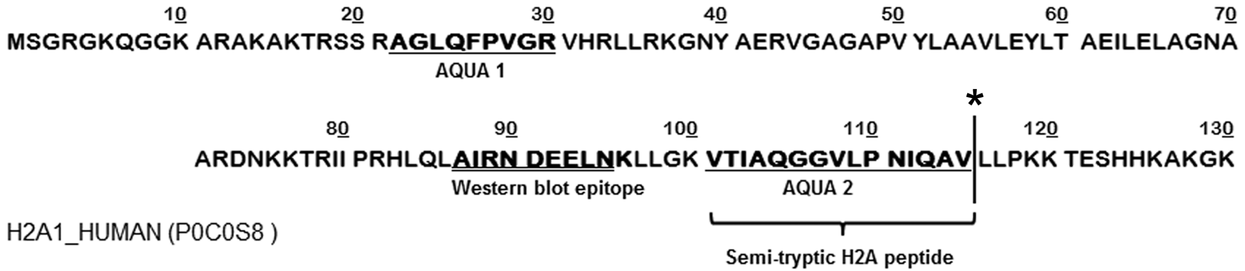 Ijms 15 09407 g001 1024