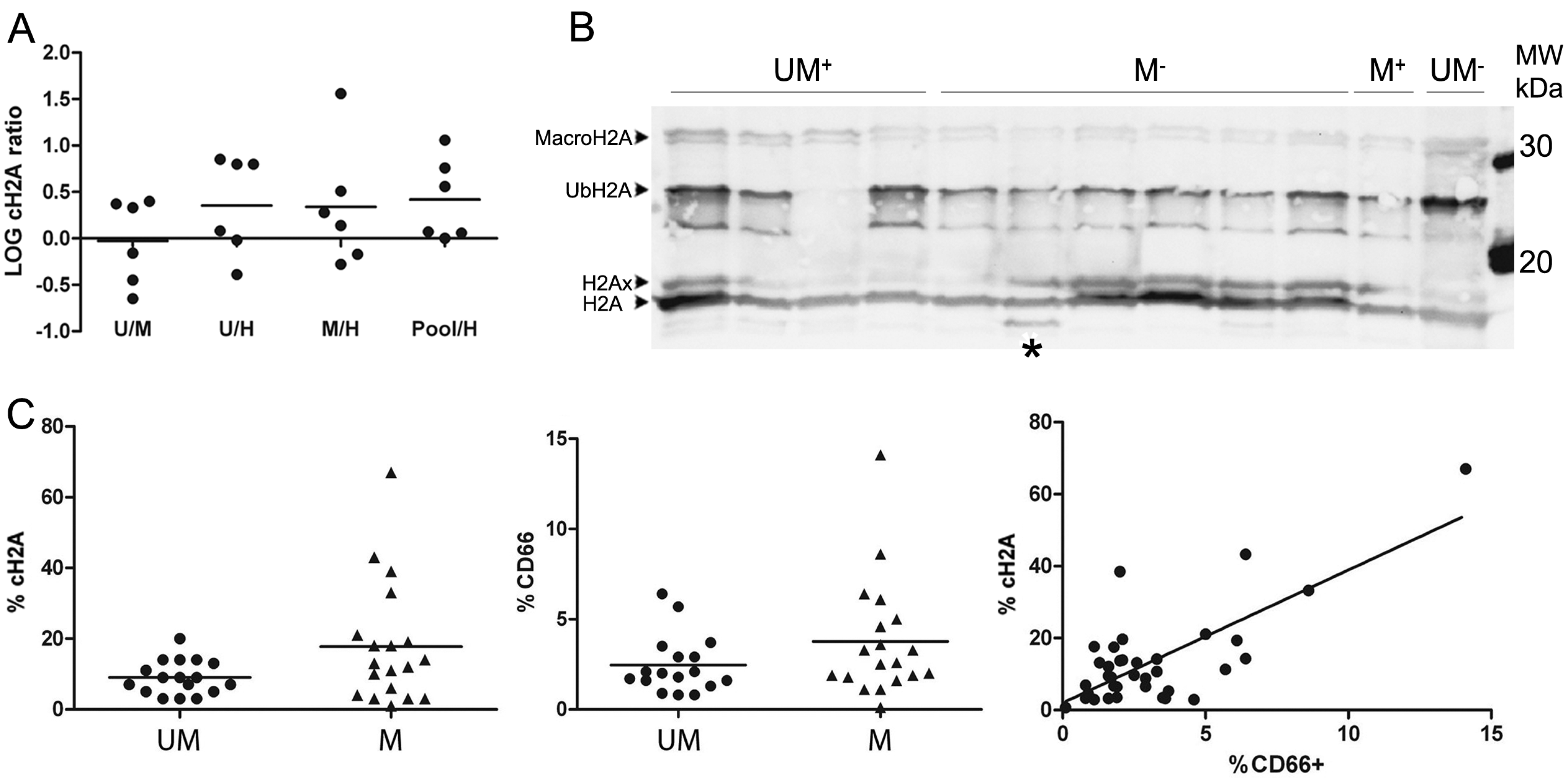 Ijms 15 09407 g002 1024