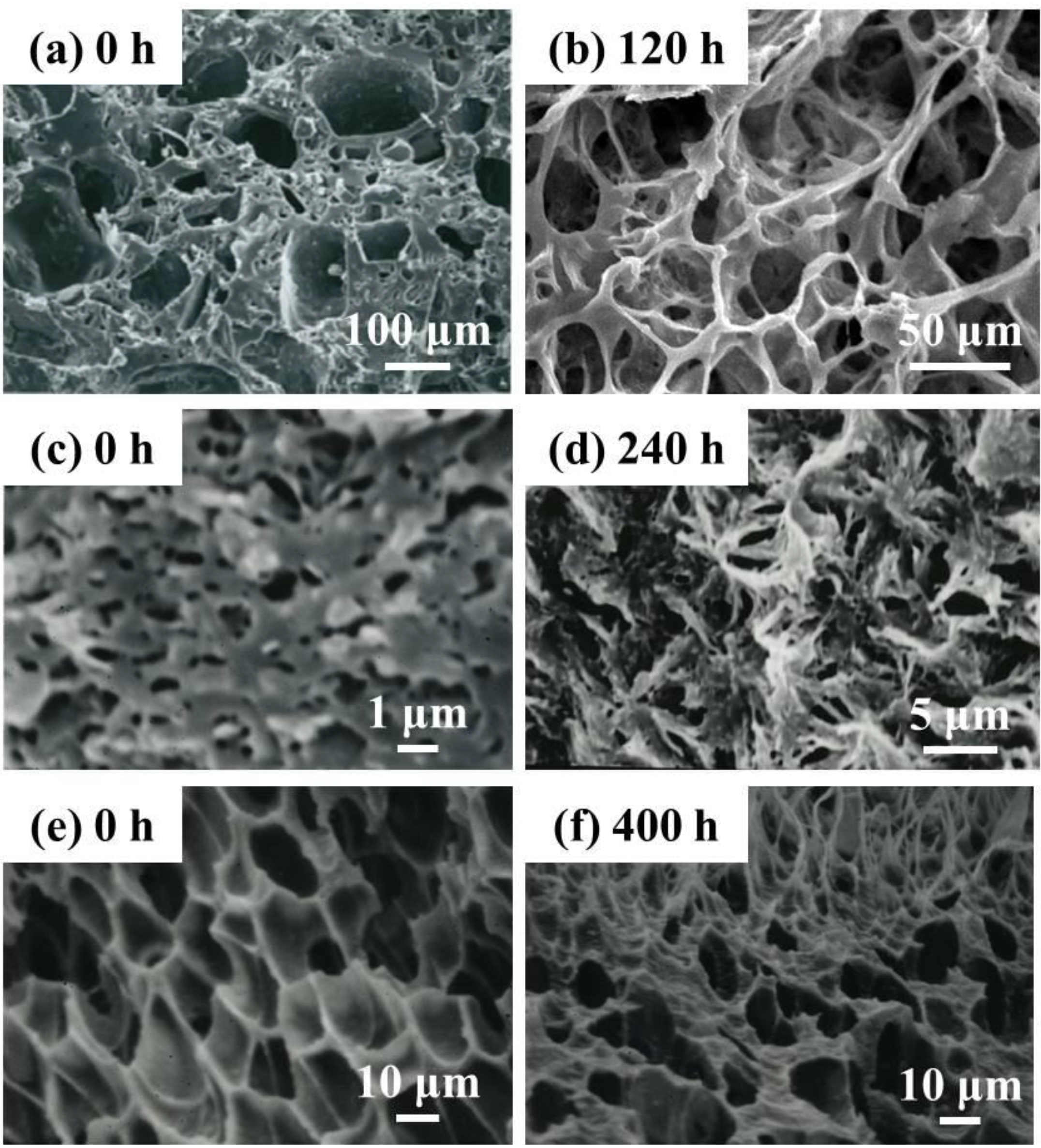 Ijms 15 09793 g012 1024