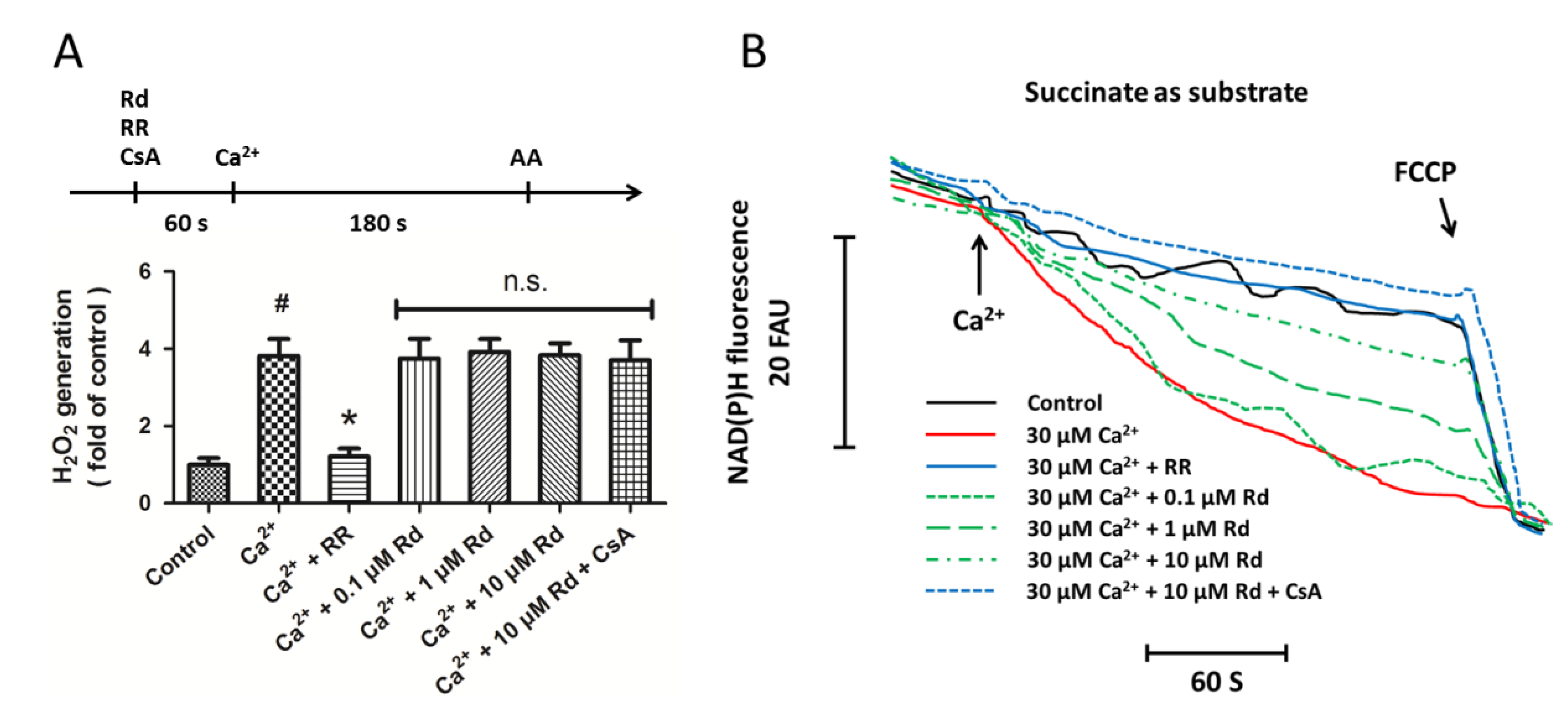 Ijms 15 09859 g003 1024