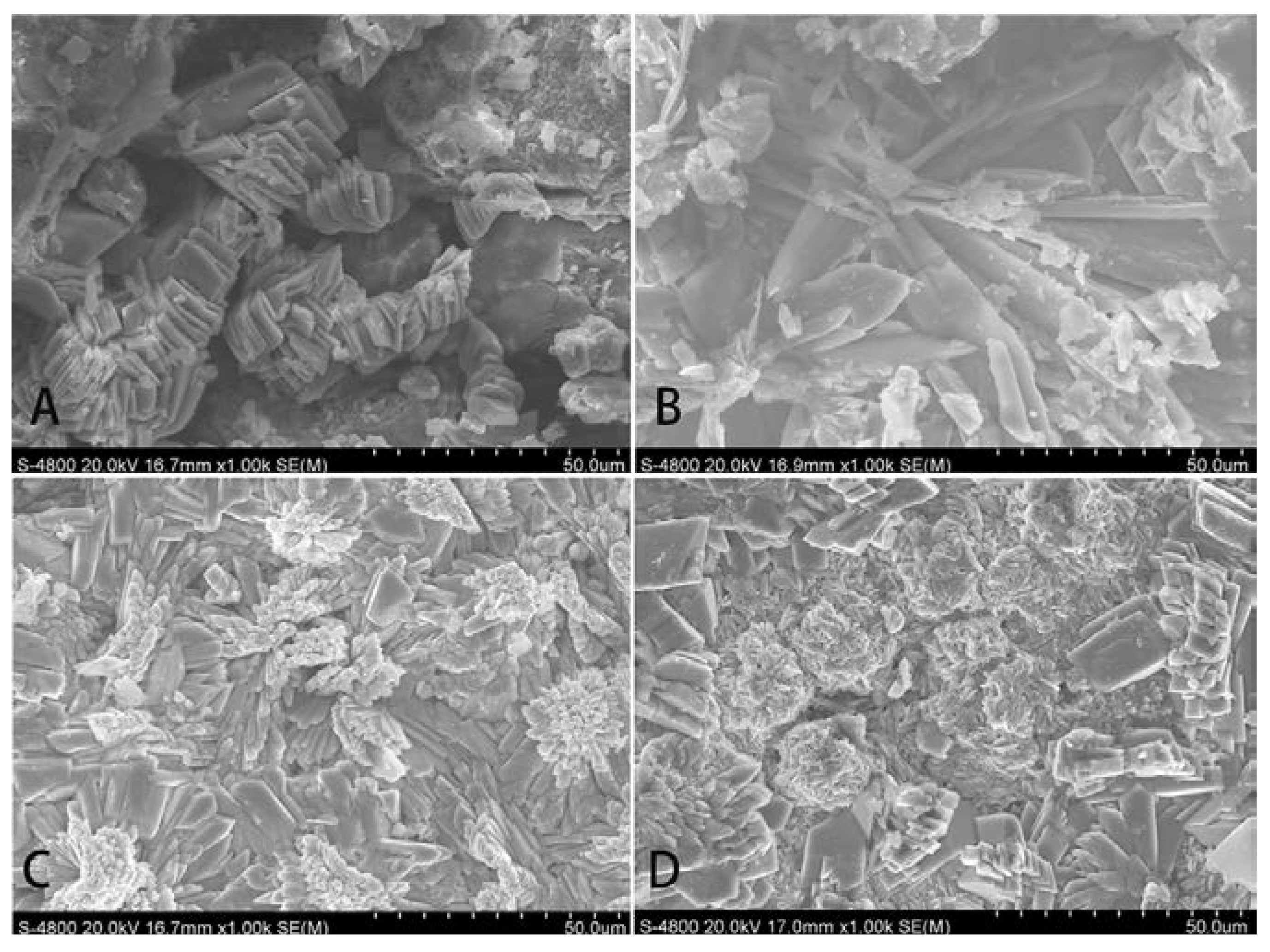 Ijms 15 09952 g002 1024