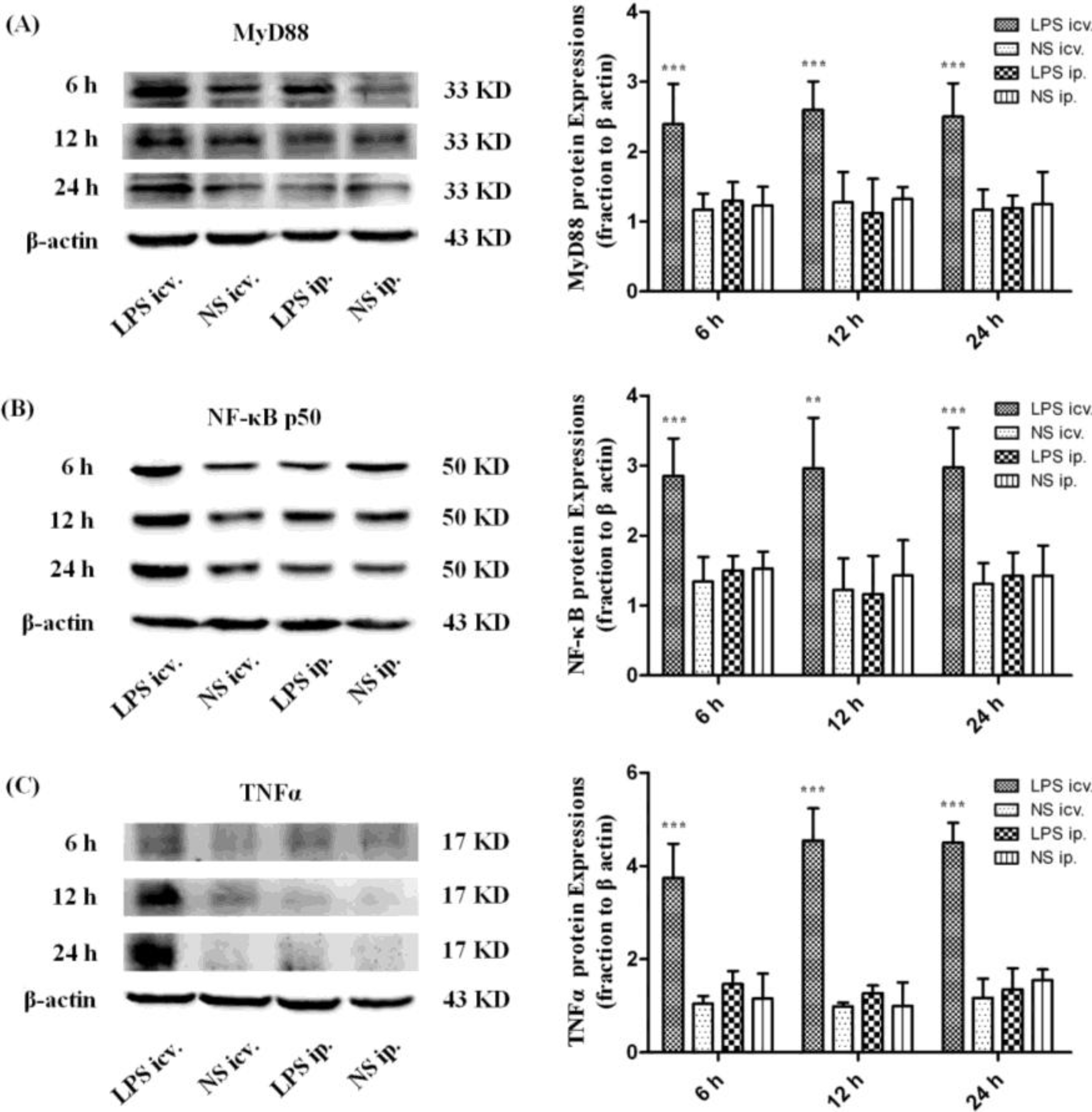 Ijms 15 10101 g005 1024