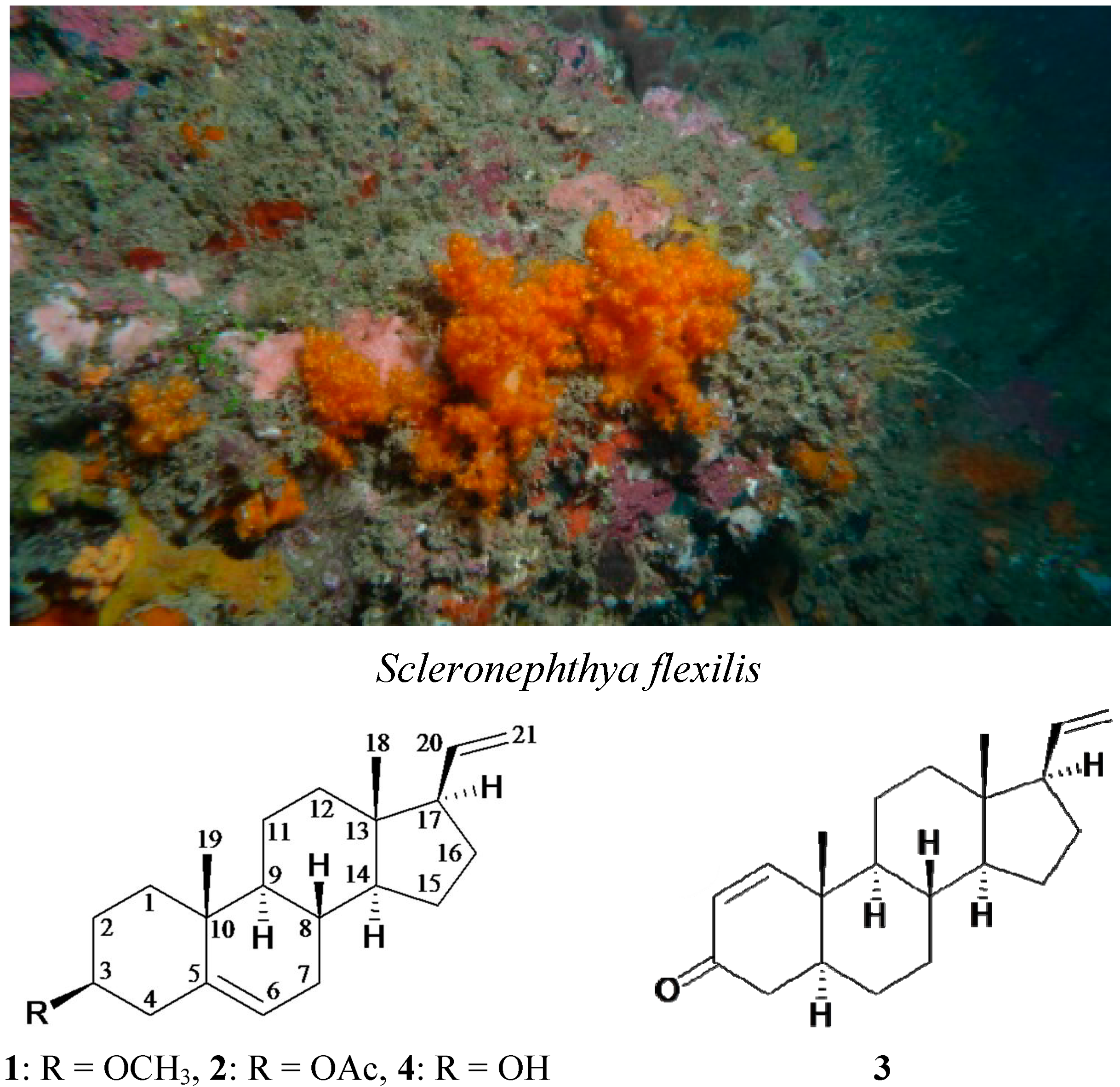 Ijms 15 10136 g005 1024