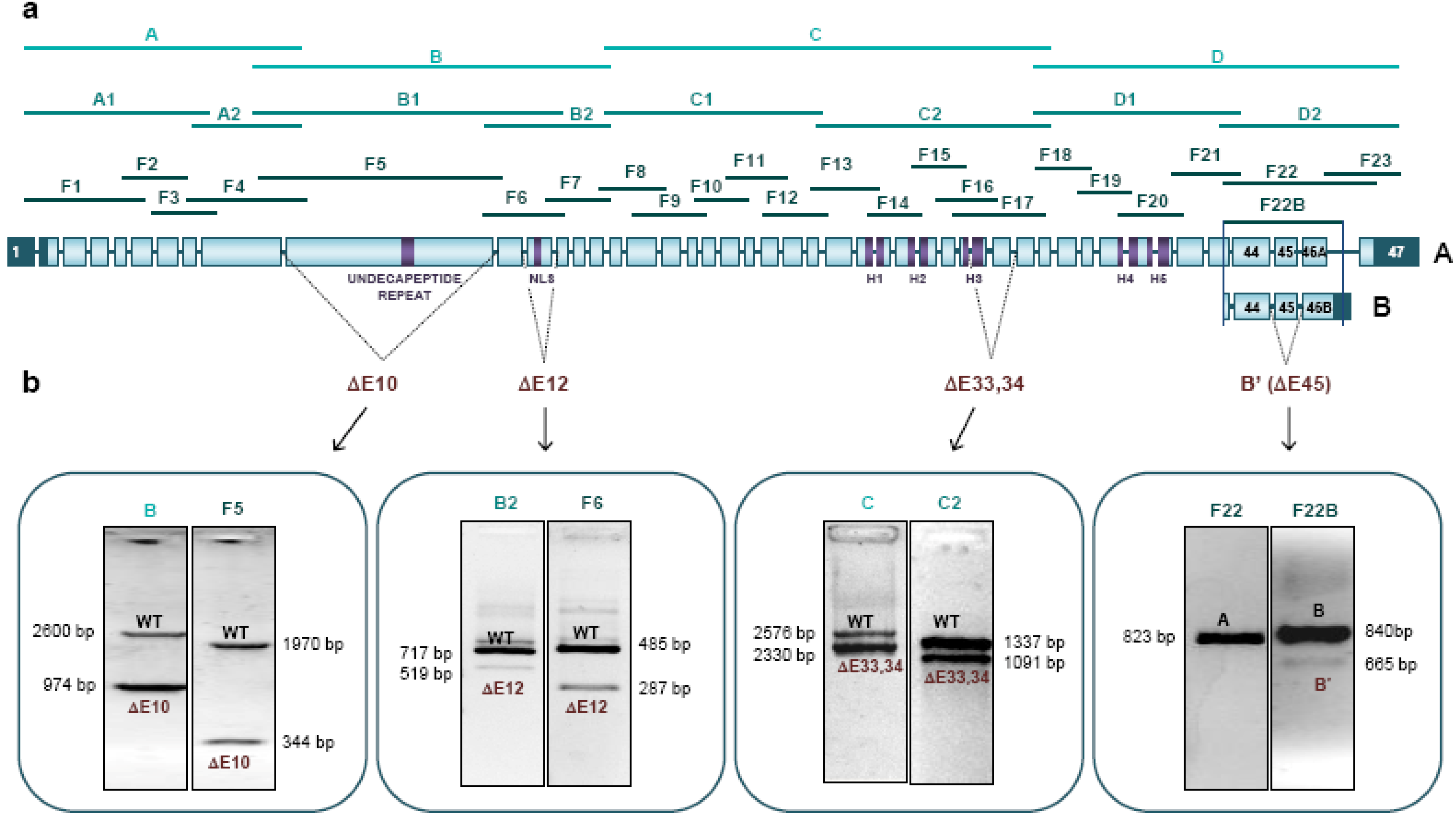 Ijms 15 10350 g002 1024