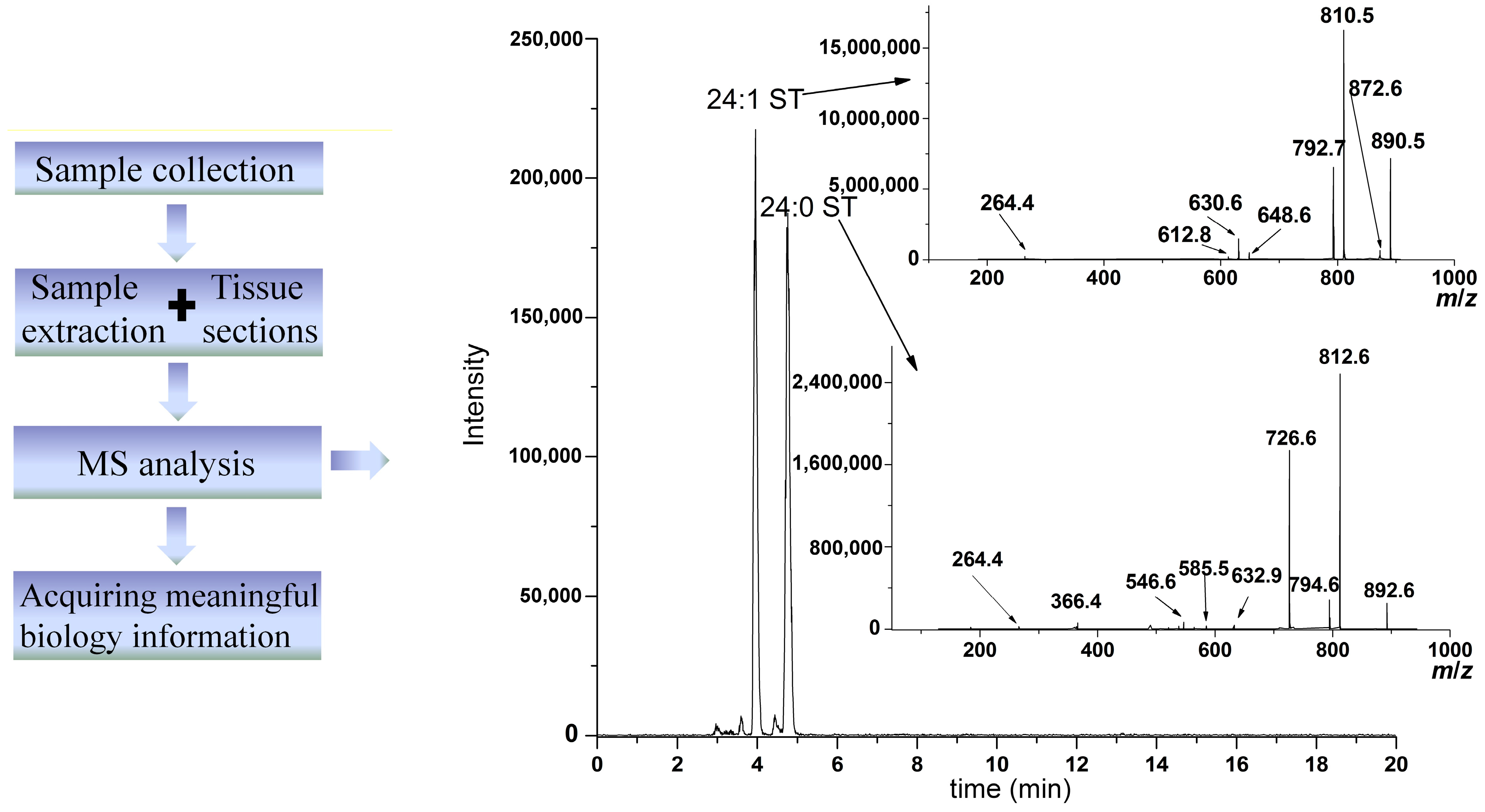 Mass Spectrometry Methodology in Lipid Analysis Mass Spectrometry Methodology in Lipid Analysis