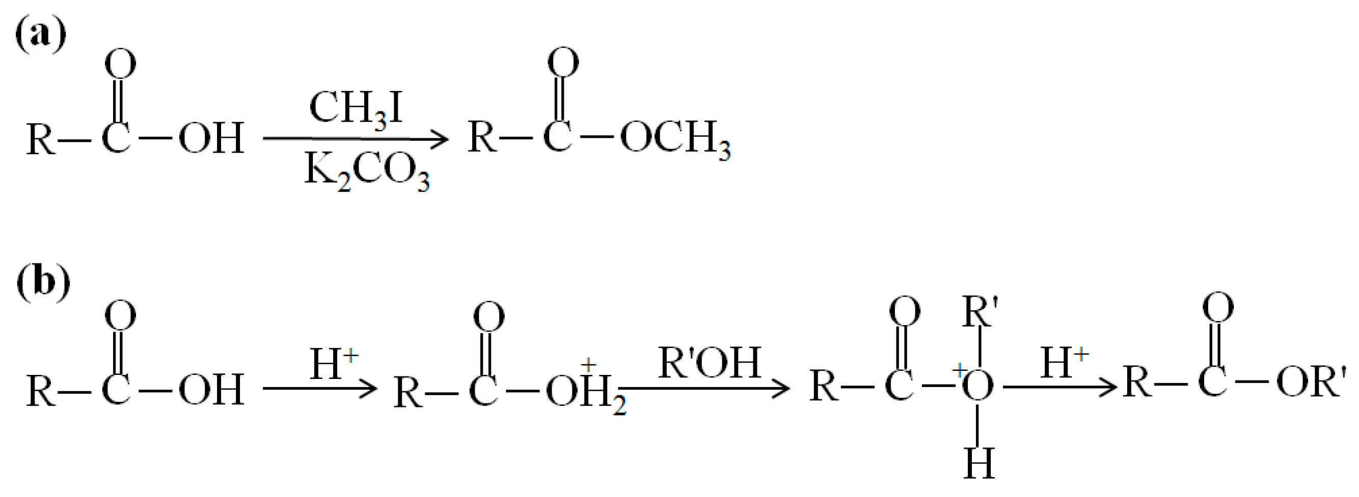 Ijms 15 10492 g002 1024