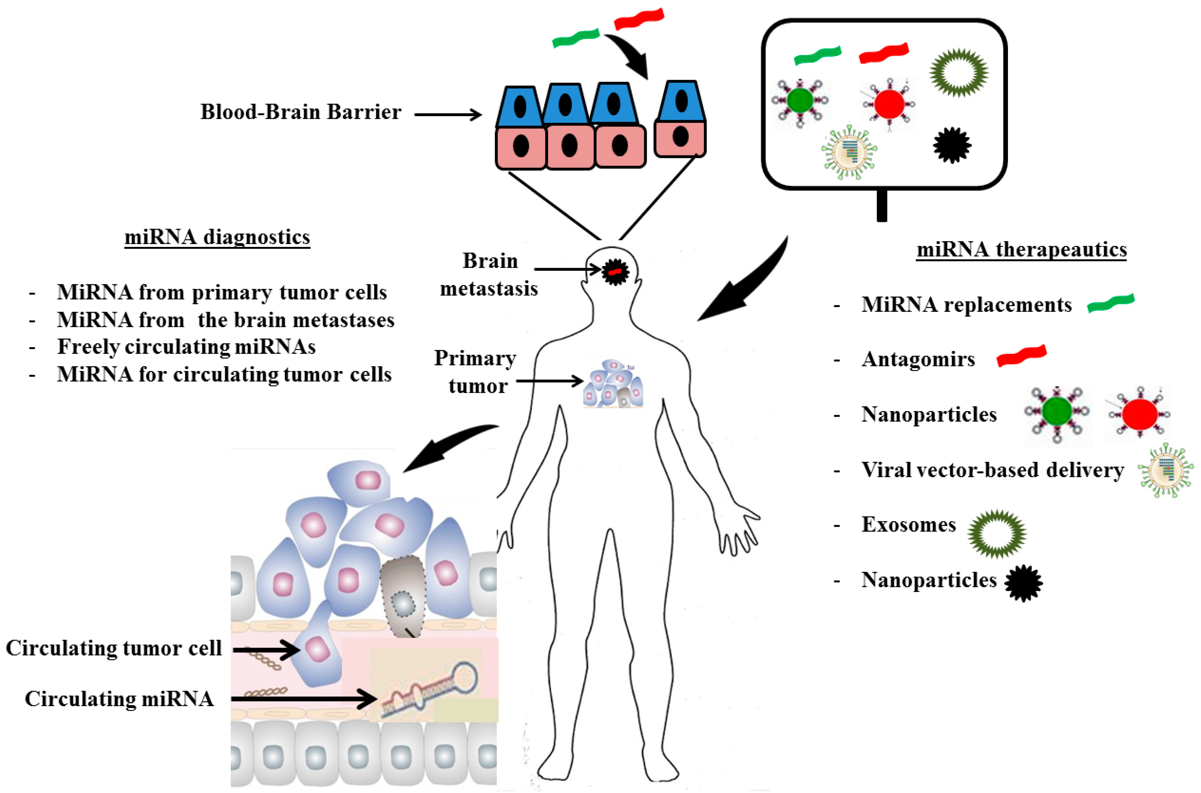 Ijms 15 10508 g003 1024