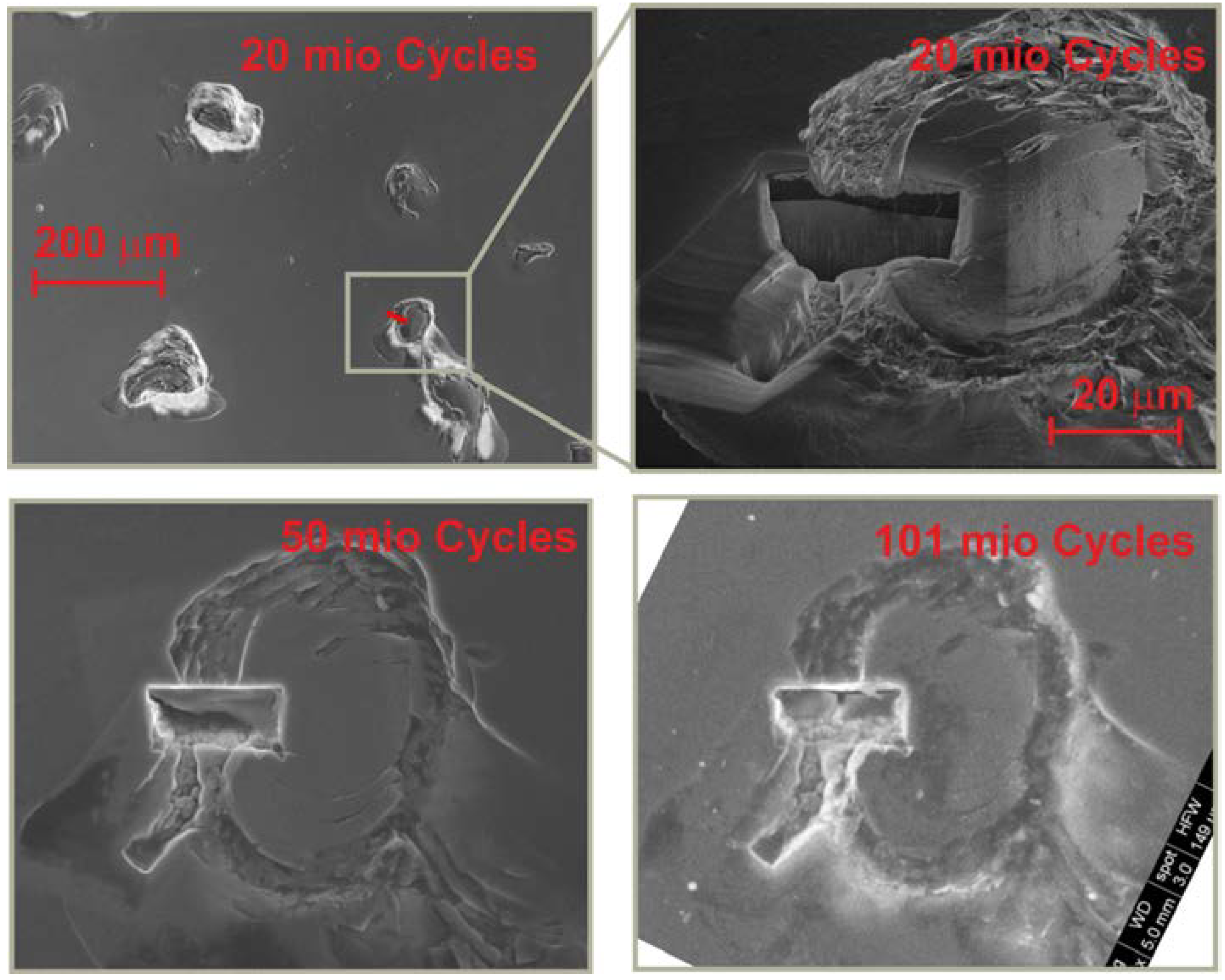 Ijms 15 10527 g004 1024