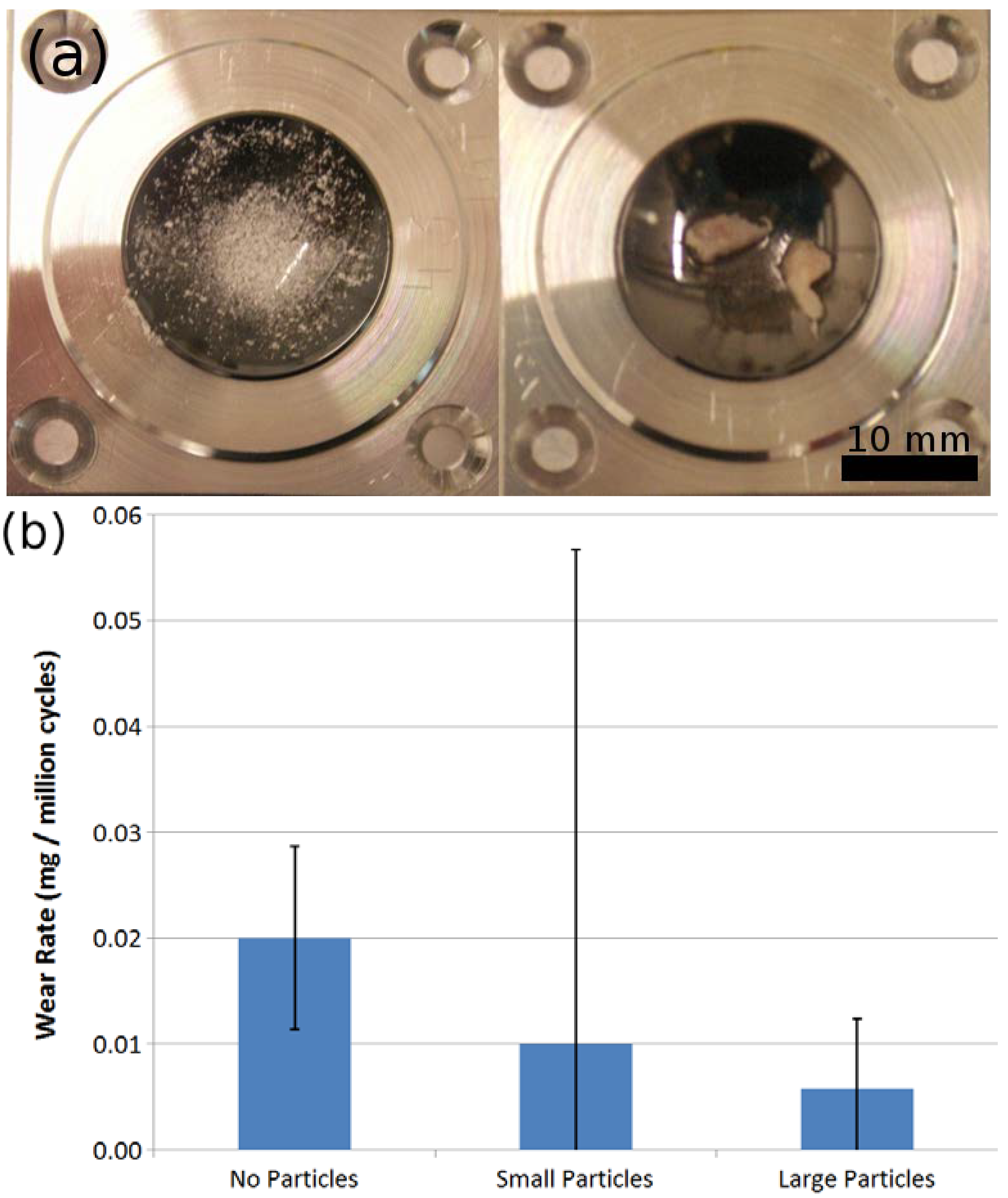 Ijms 15 10527 g006 1024