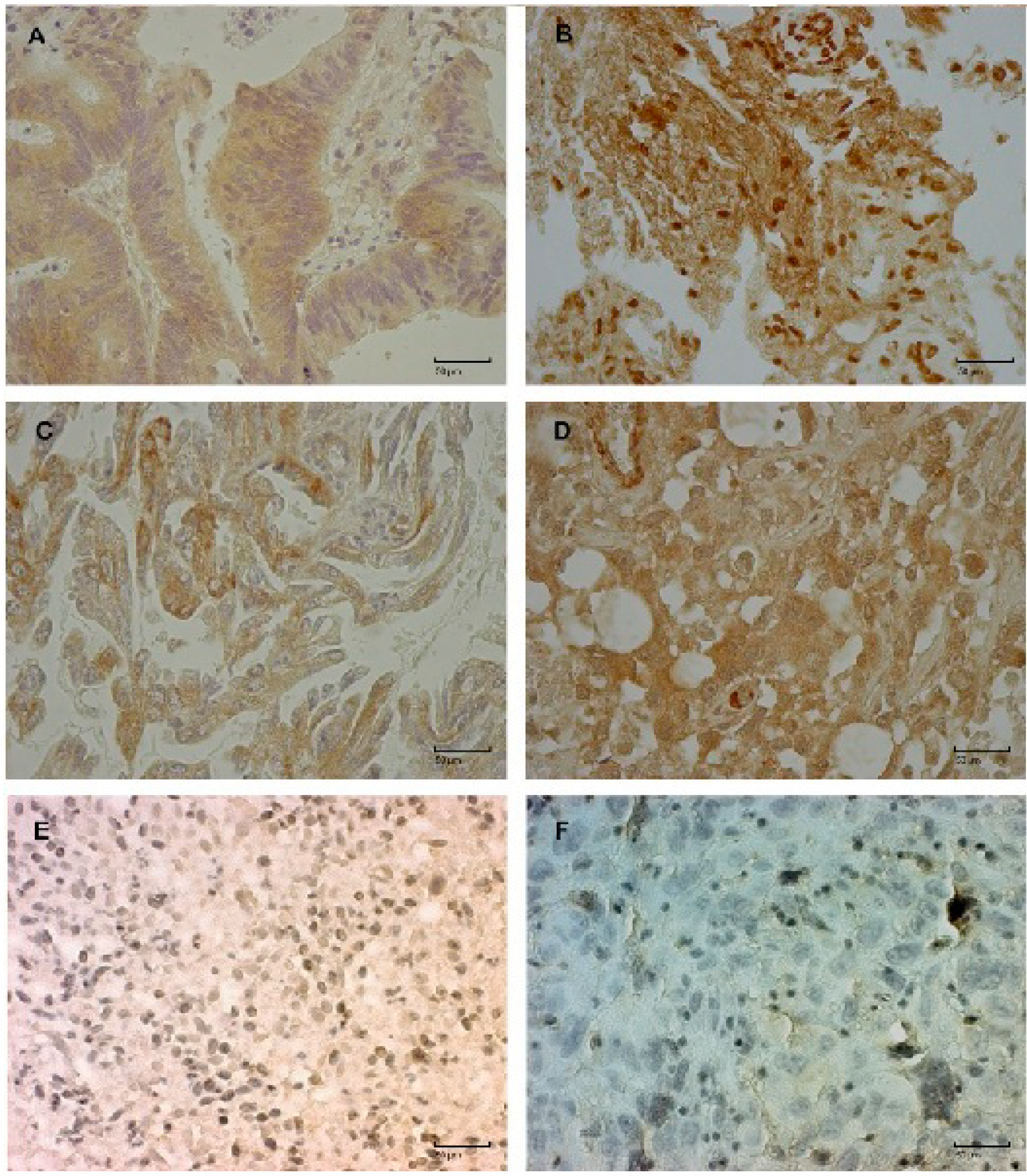 Ijms 15 10635 g002 1024