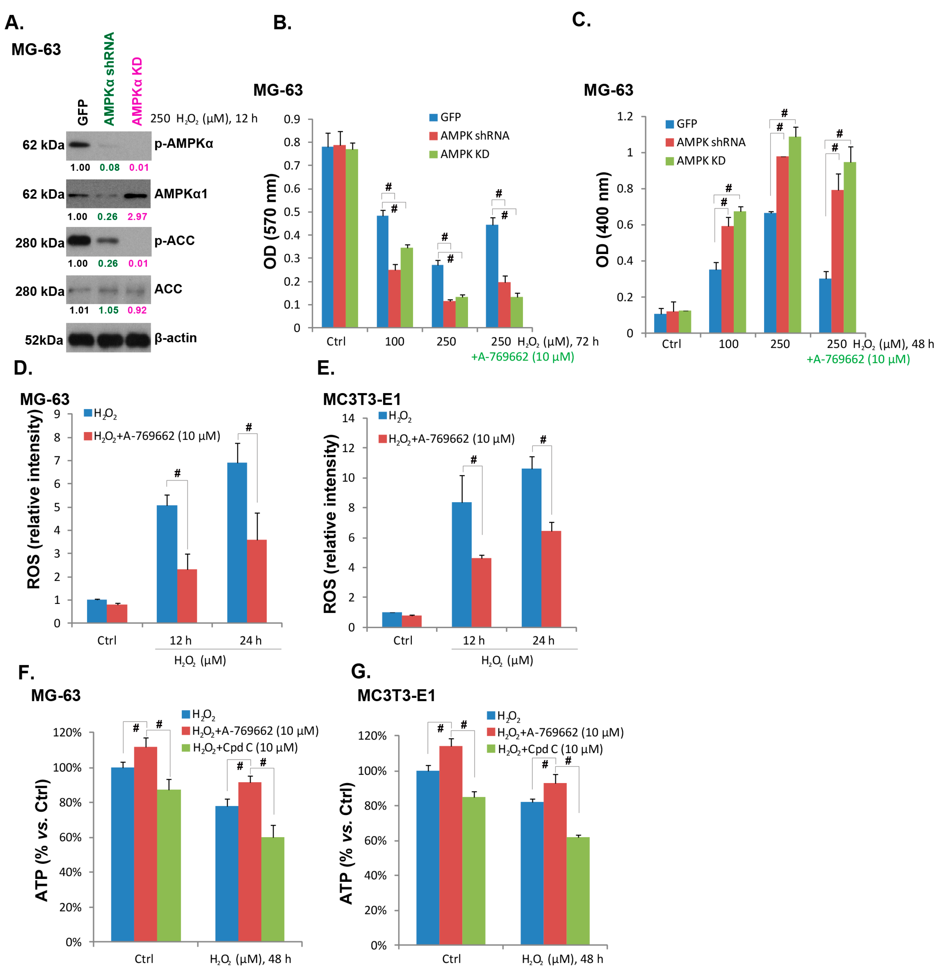 Ijms 15 11190 g004 1024