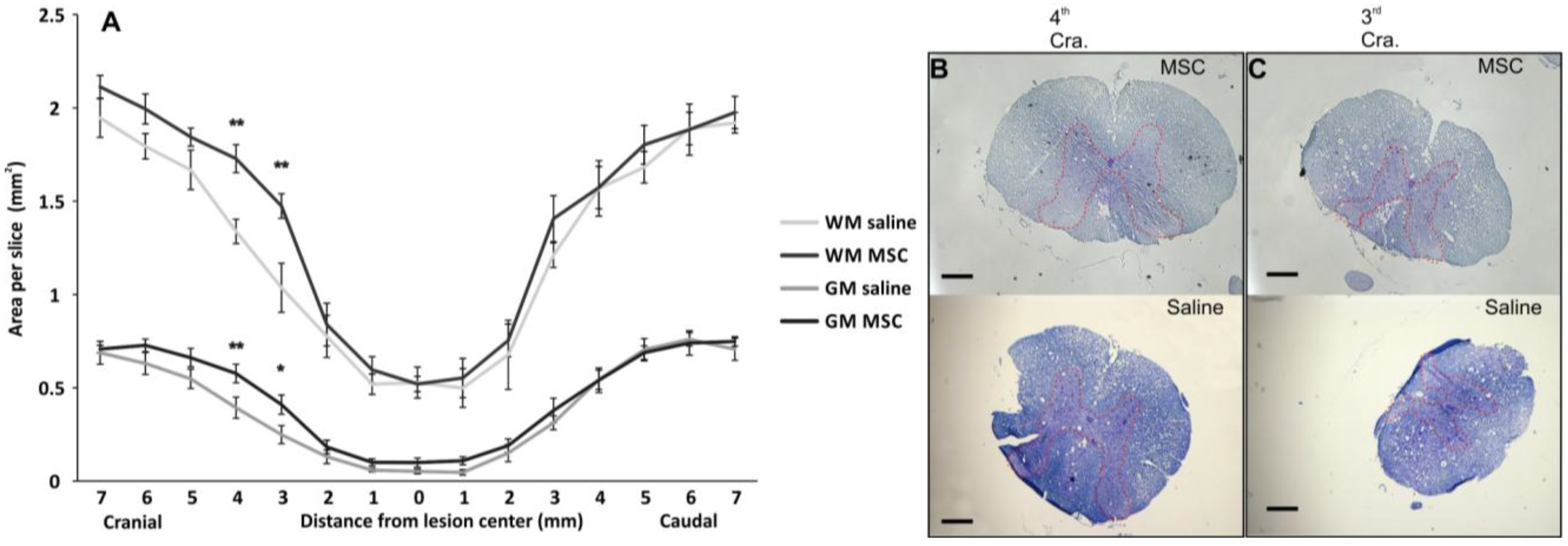 Ijms 15 11275 g003 1024