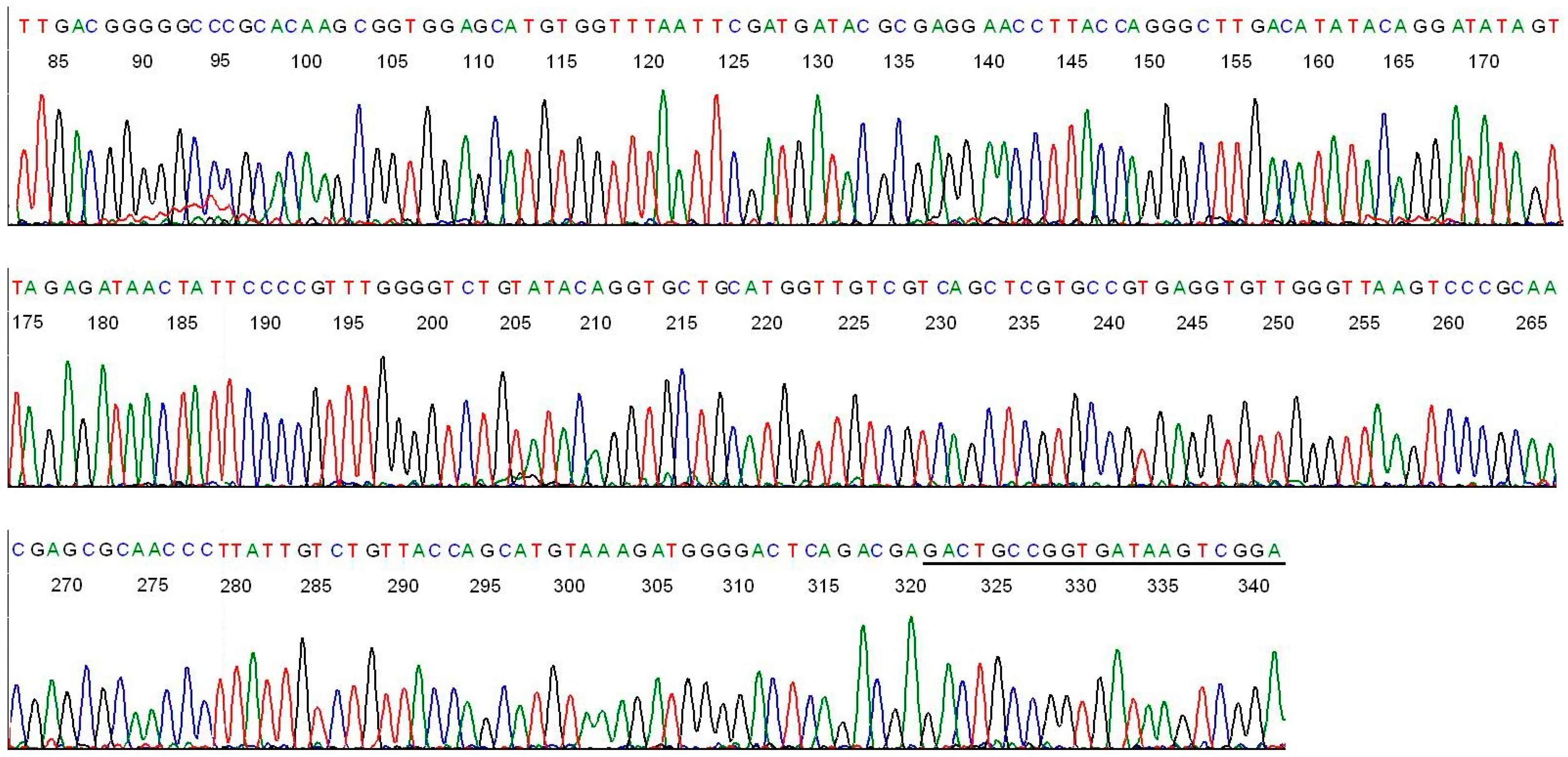 Ijms 15 11364 g004 1024