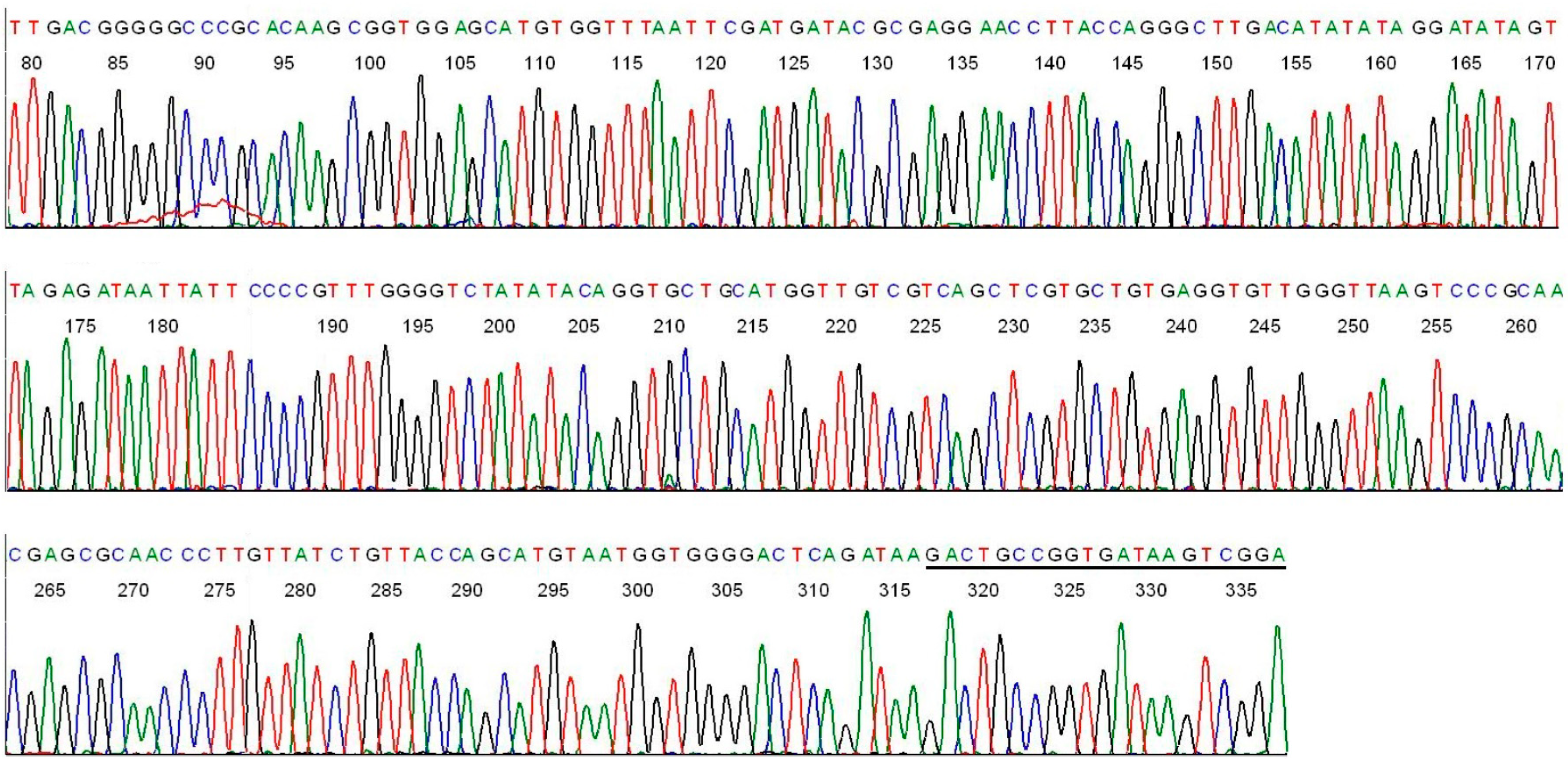 Ijms 15 11364 g005 1024