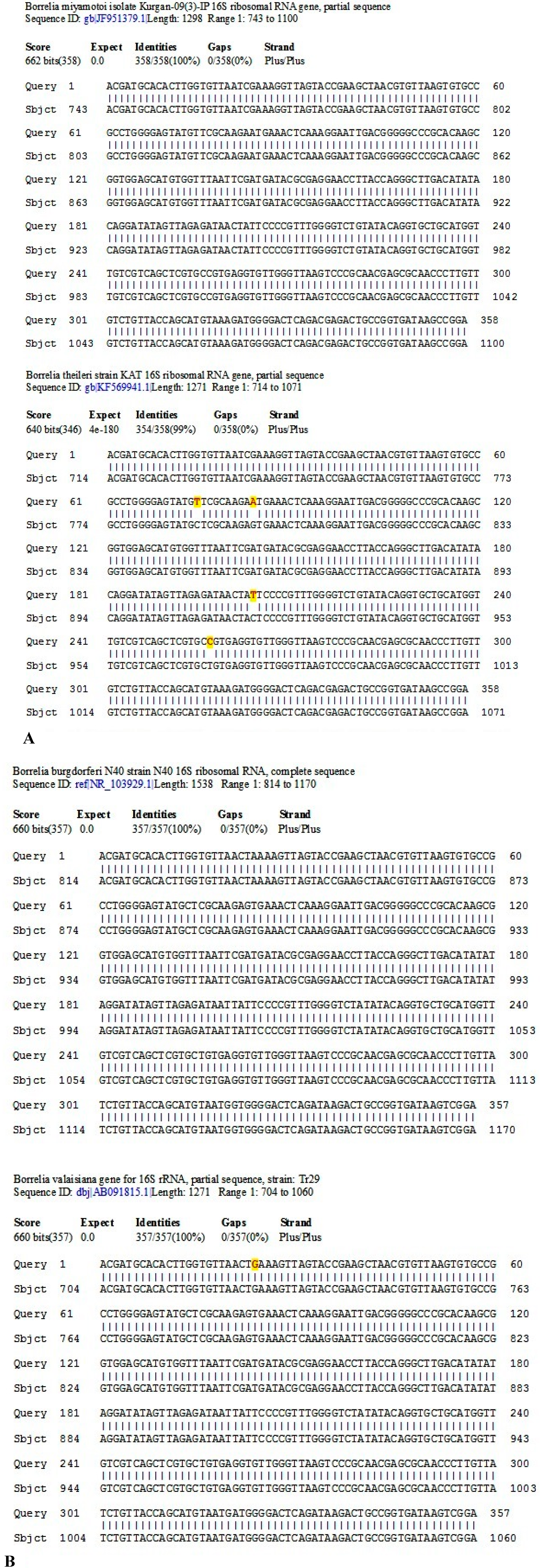 Ijms 15 11364 g006 1024