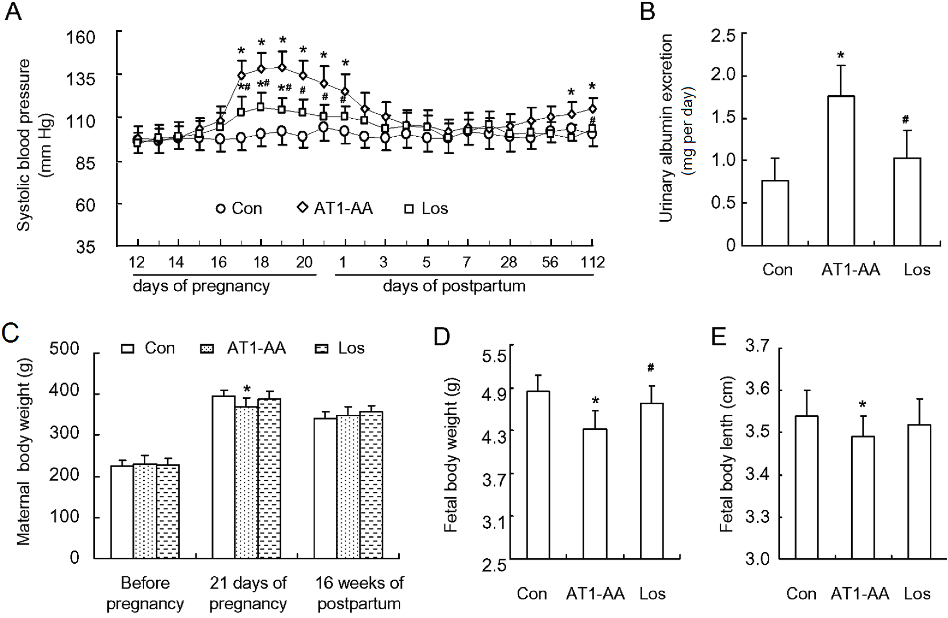Ijms 15 11495 g001 1024