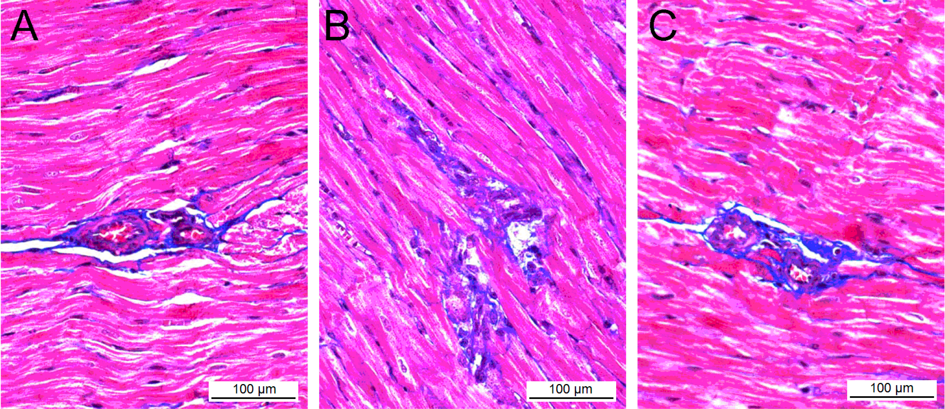 Ijms 15 11495 g003 1024