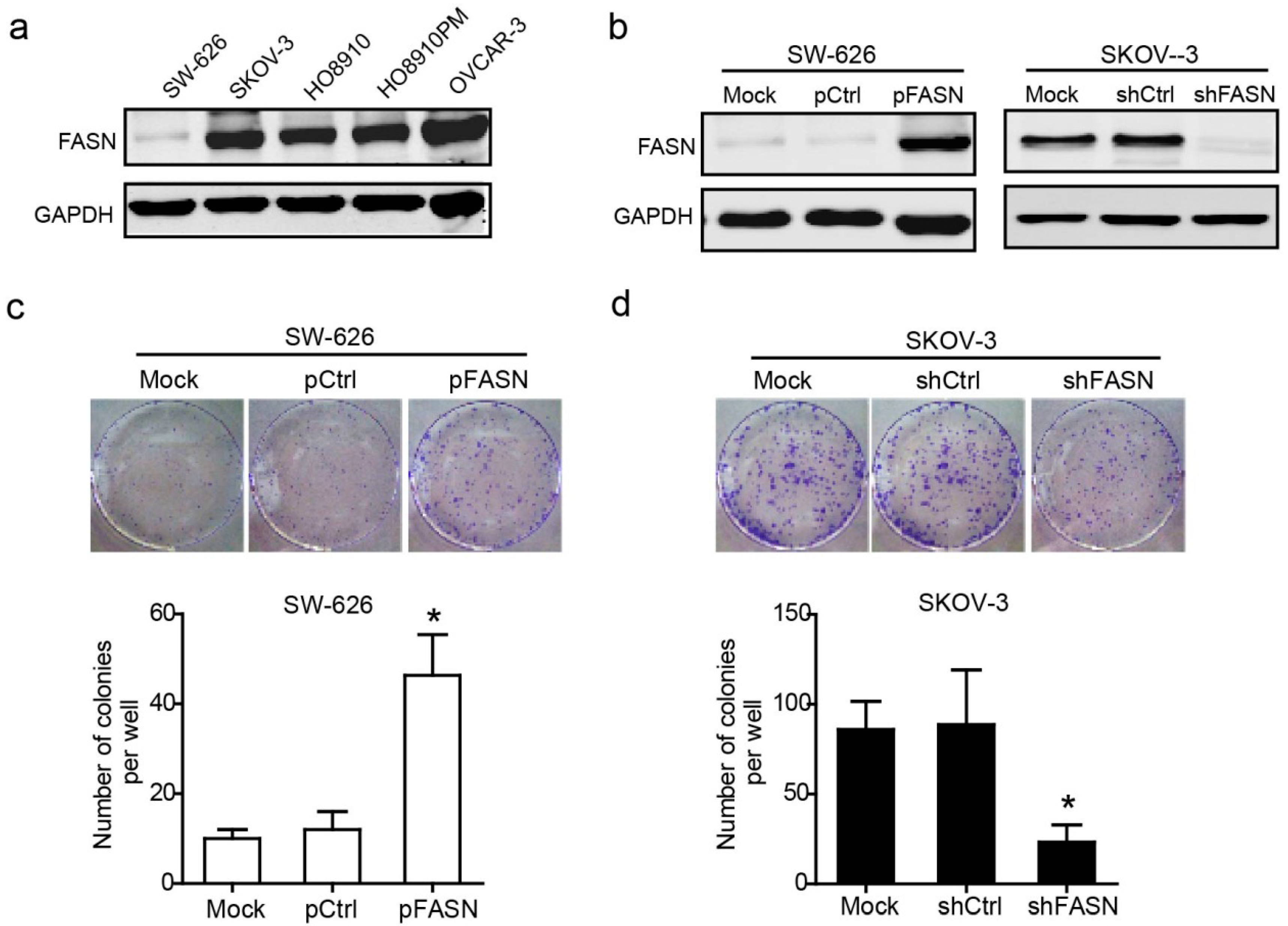Ijms 15 11539 g002 1024