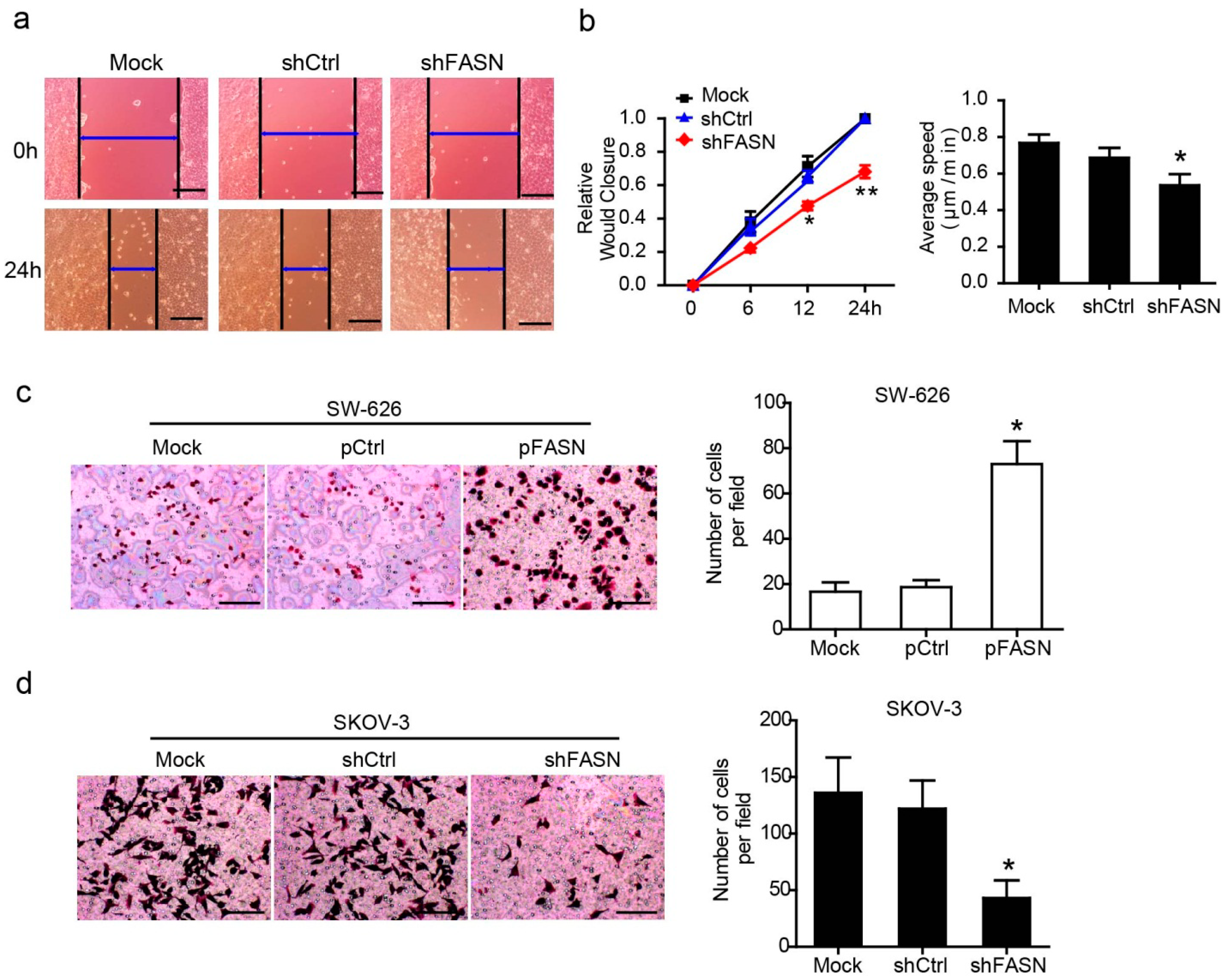 Ijms 15 11539 g003 1024