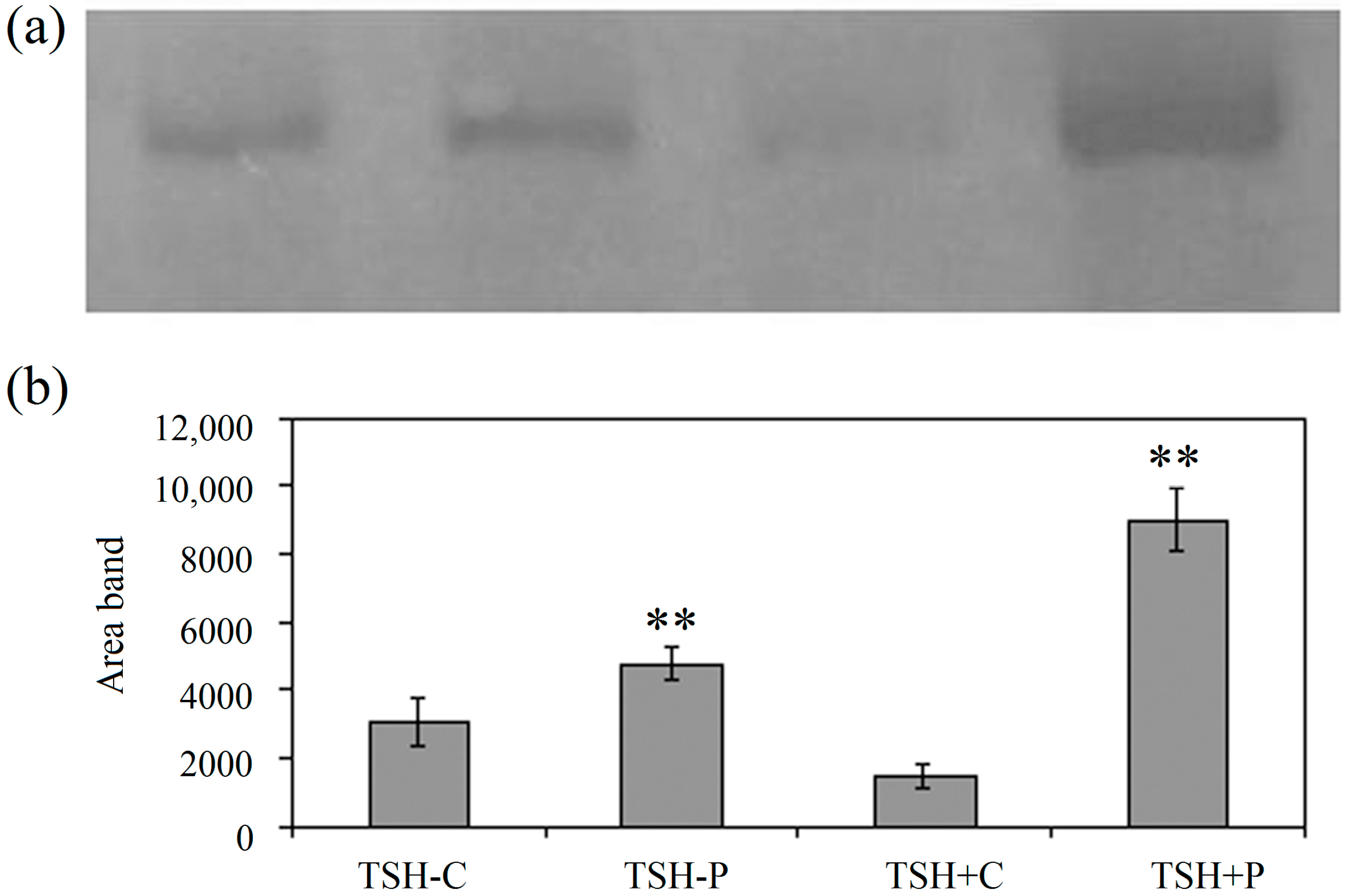 Ijms 15 11555 g001