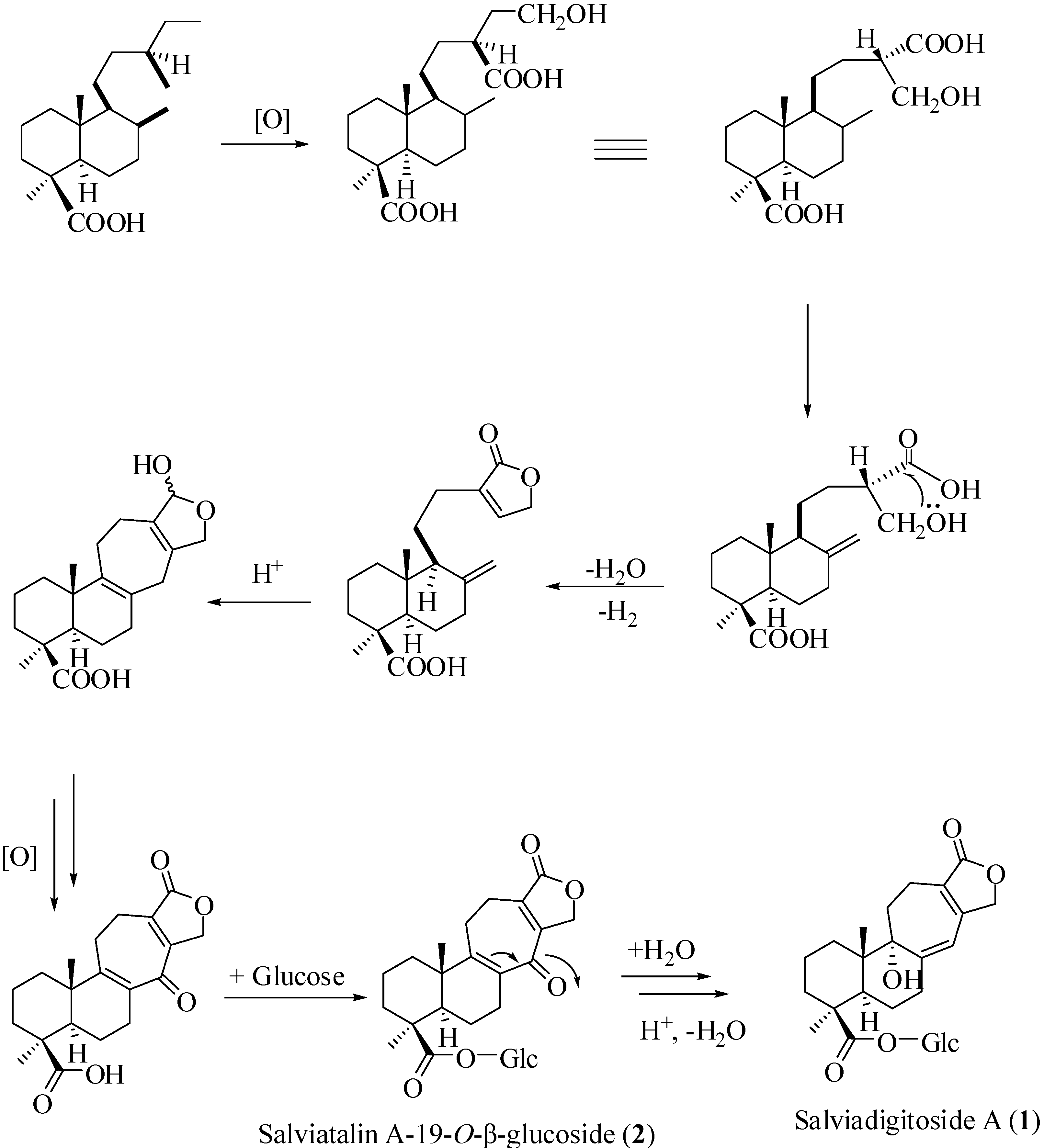 Ijms 15 11566 g004