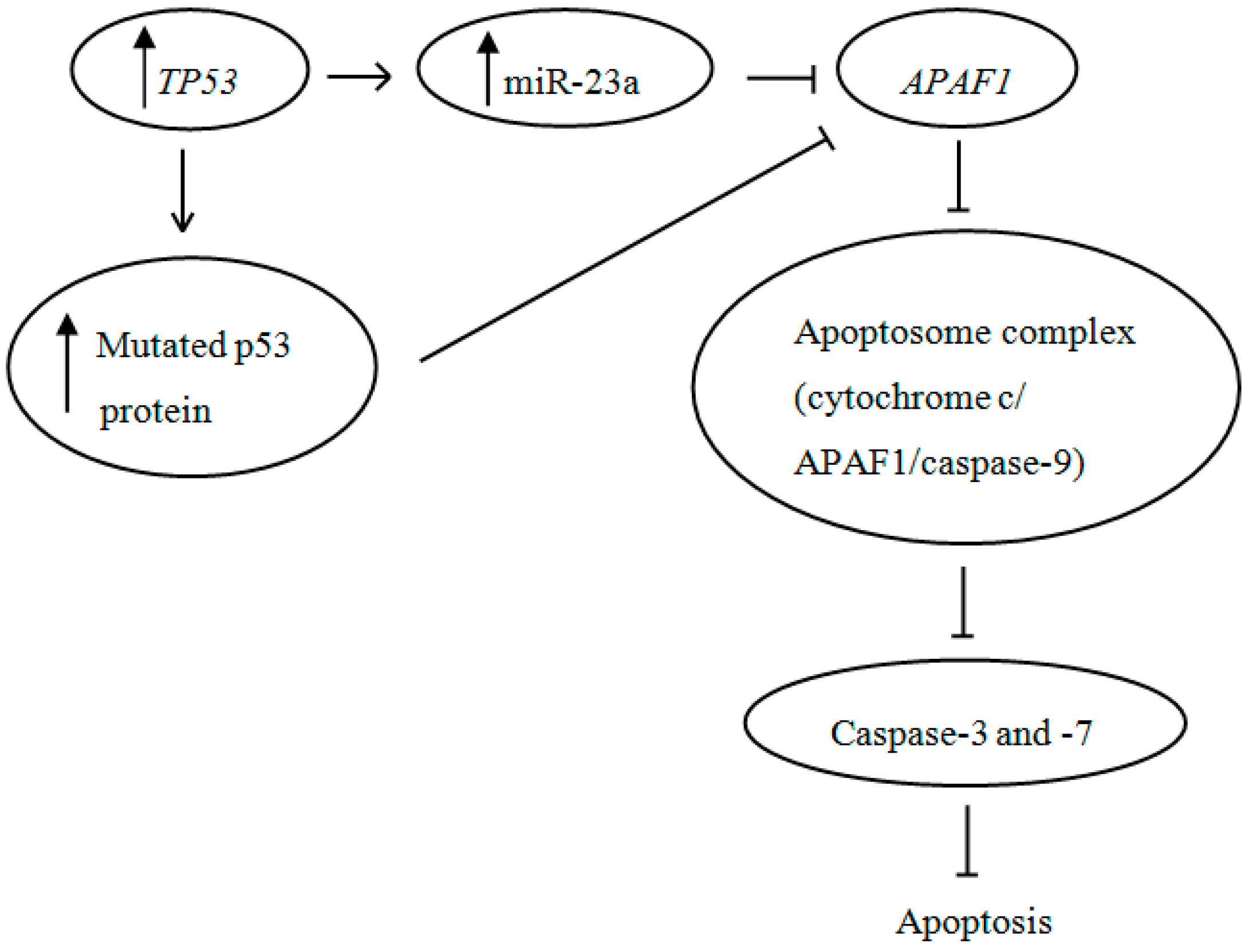 Ijms 15 11713 g008 1024