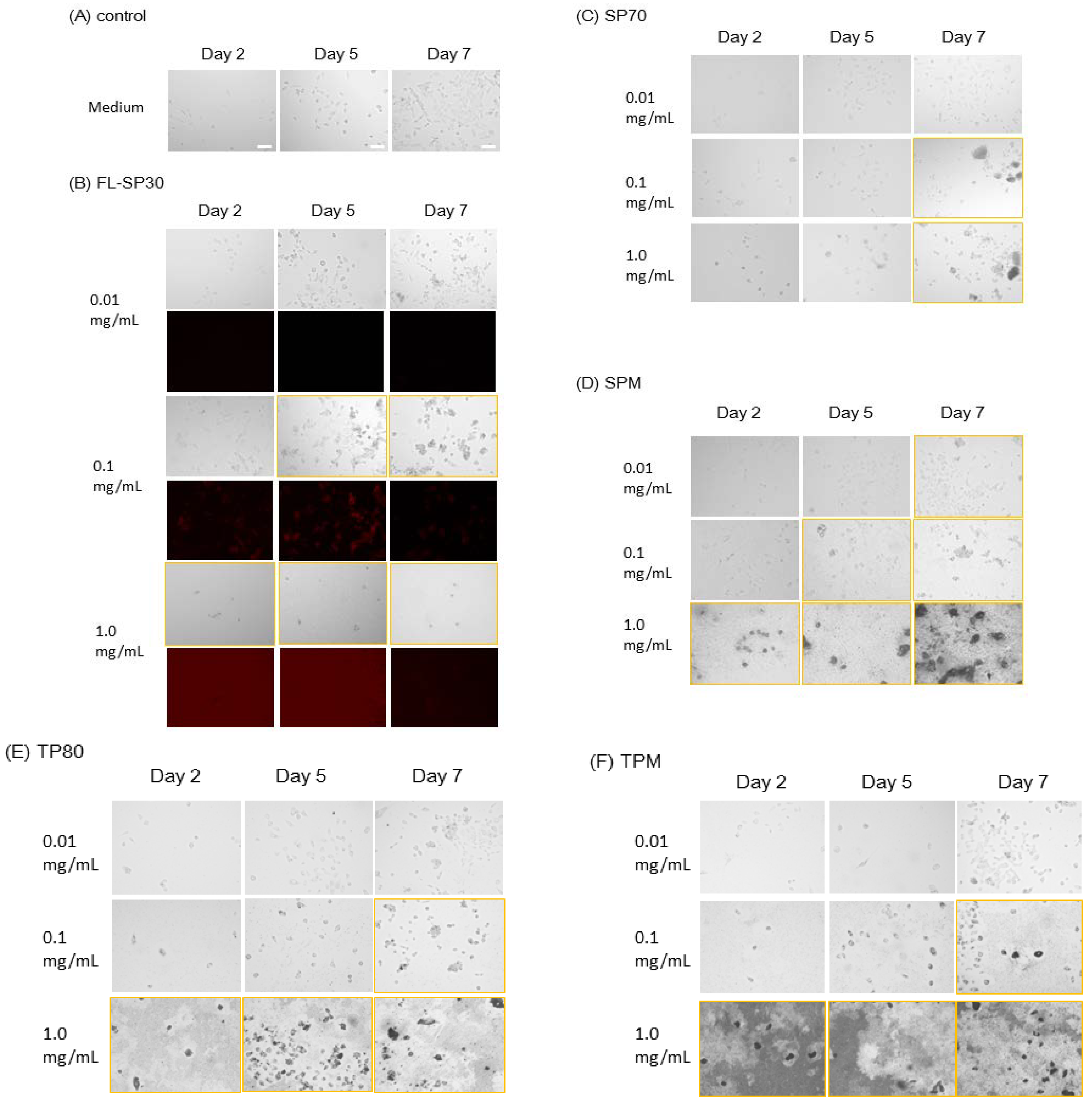 Ijms 15 11742 g002 1024