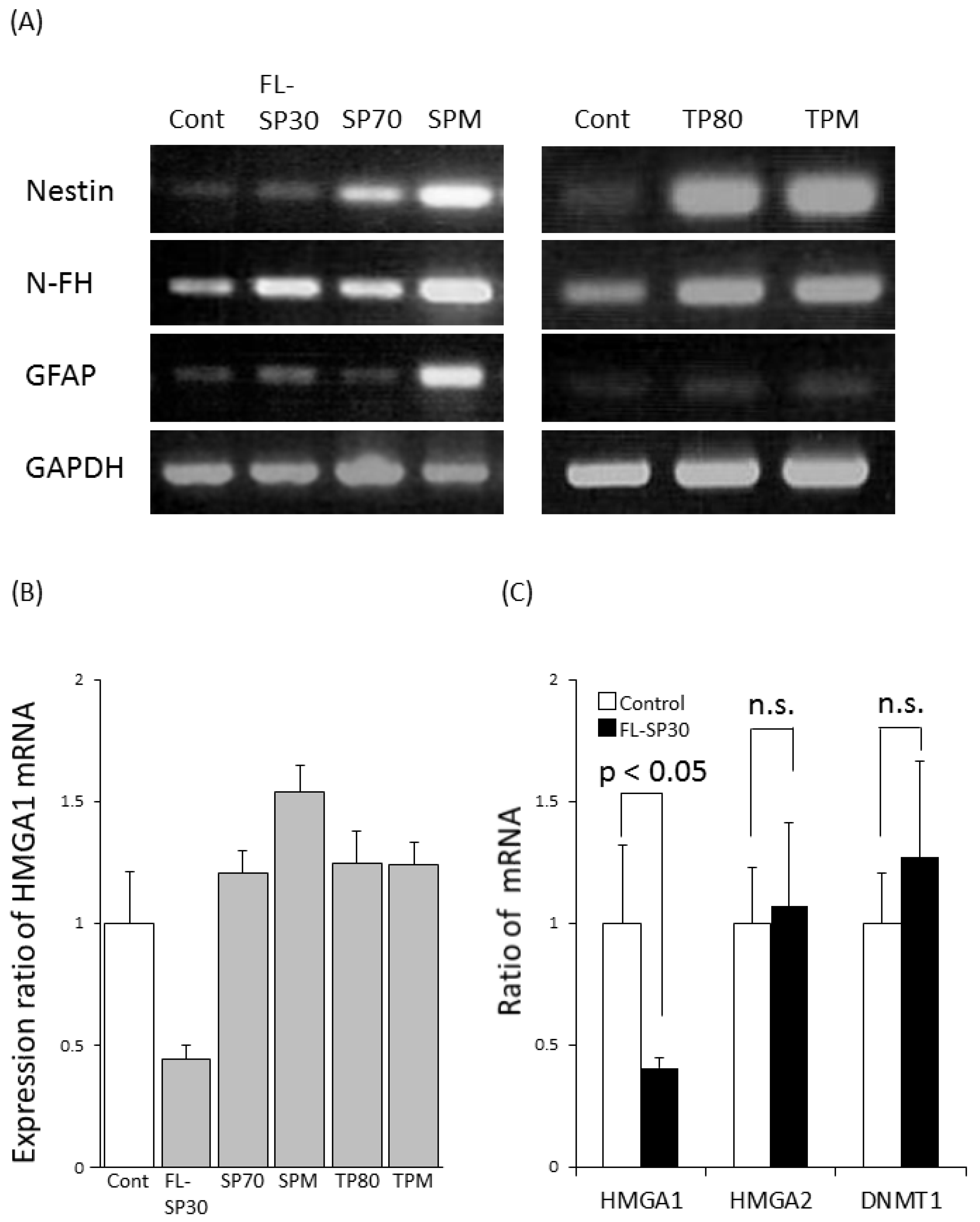 Ijms 15 11742 g005 1024