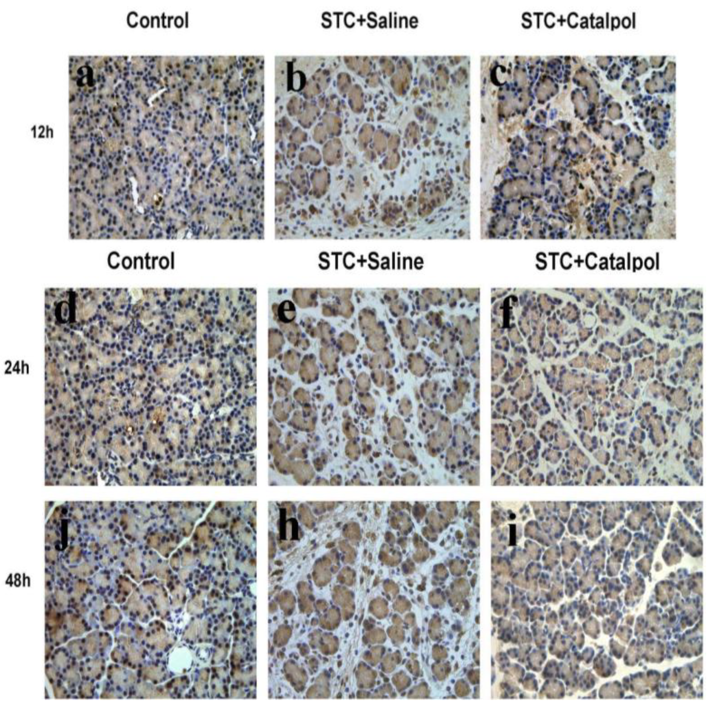 Ijms 15 11957 g006 1024