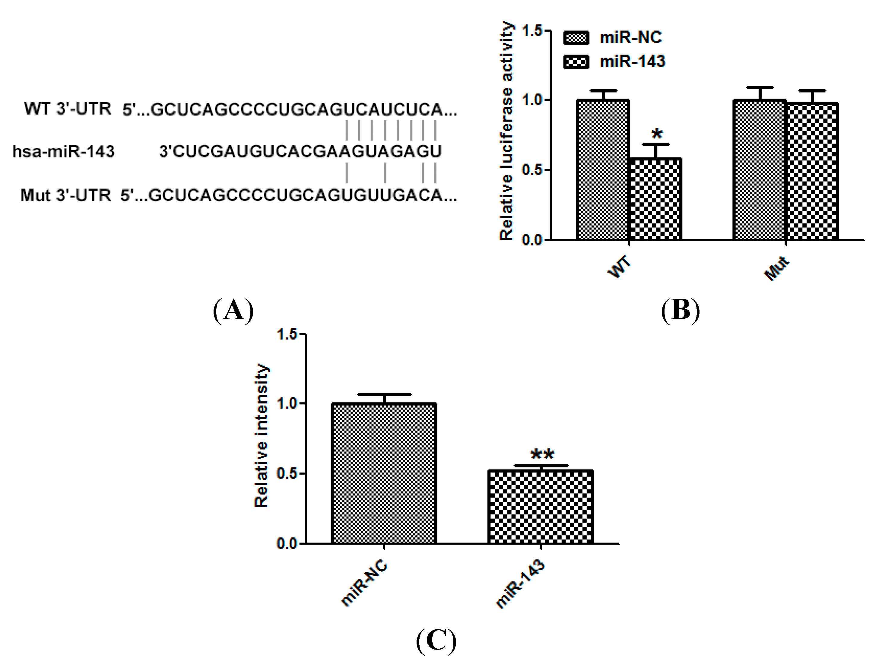 Ijms 15 11973 g004 1024