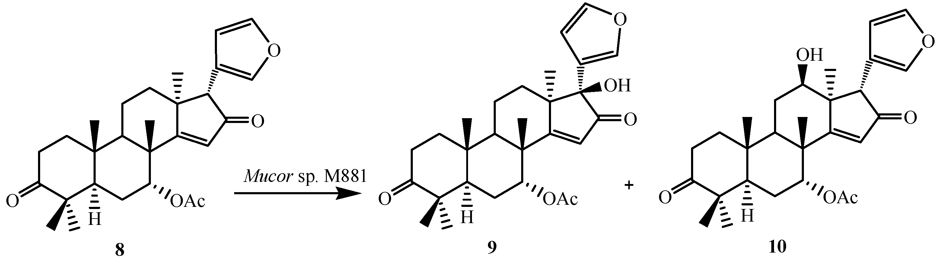 Ijms 15 12027 g003 1024