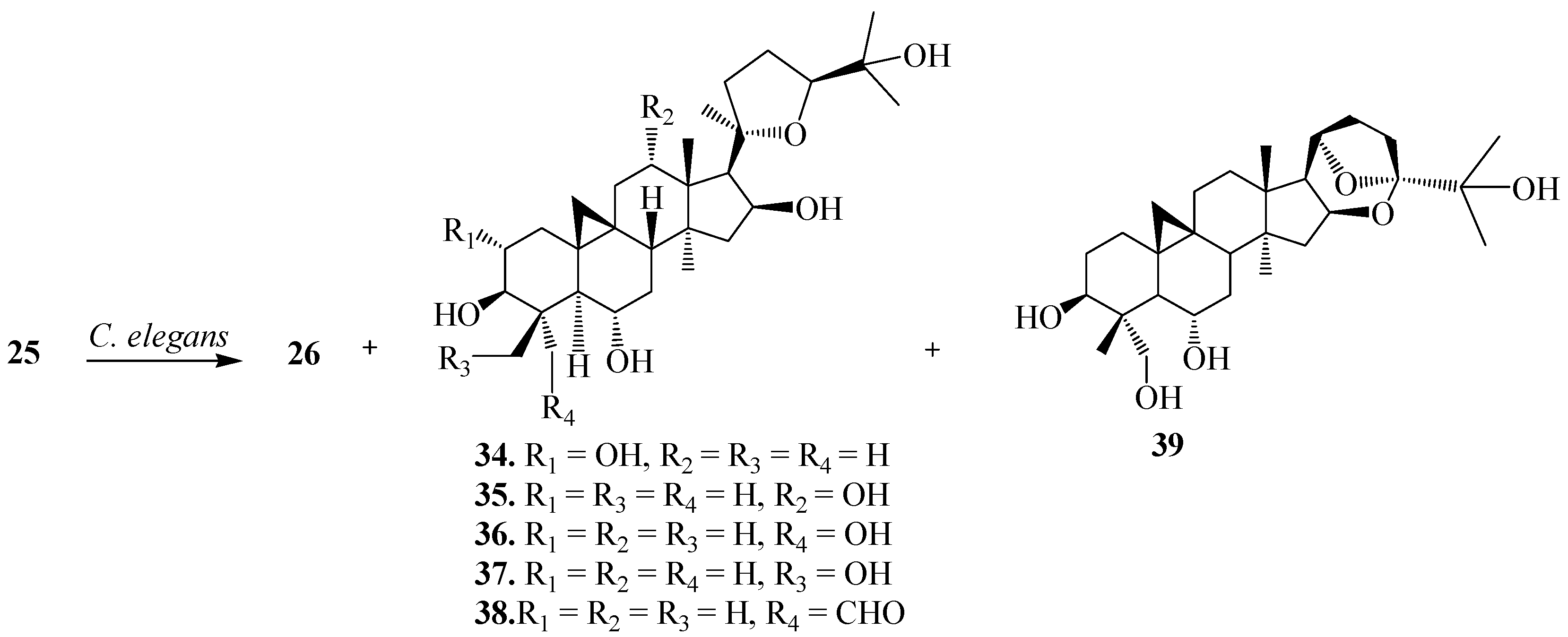 IJMS  Free Full-Text  Microbial-Catalyzed 