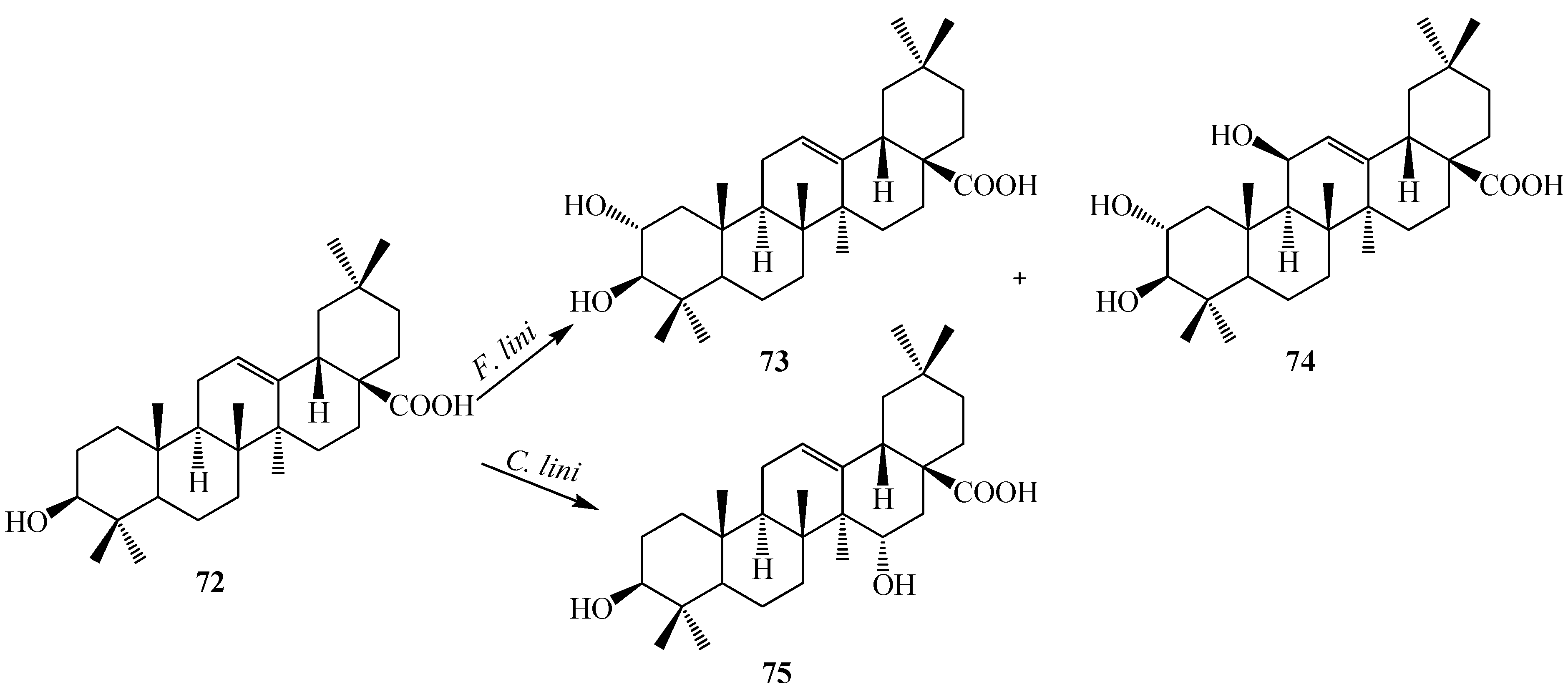 Ijms 15 12027 g020 1024