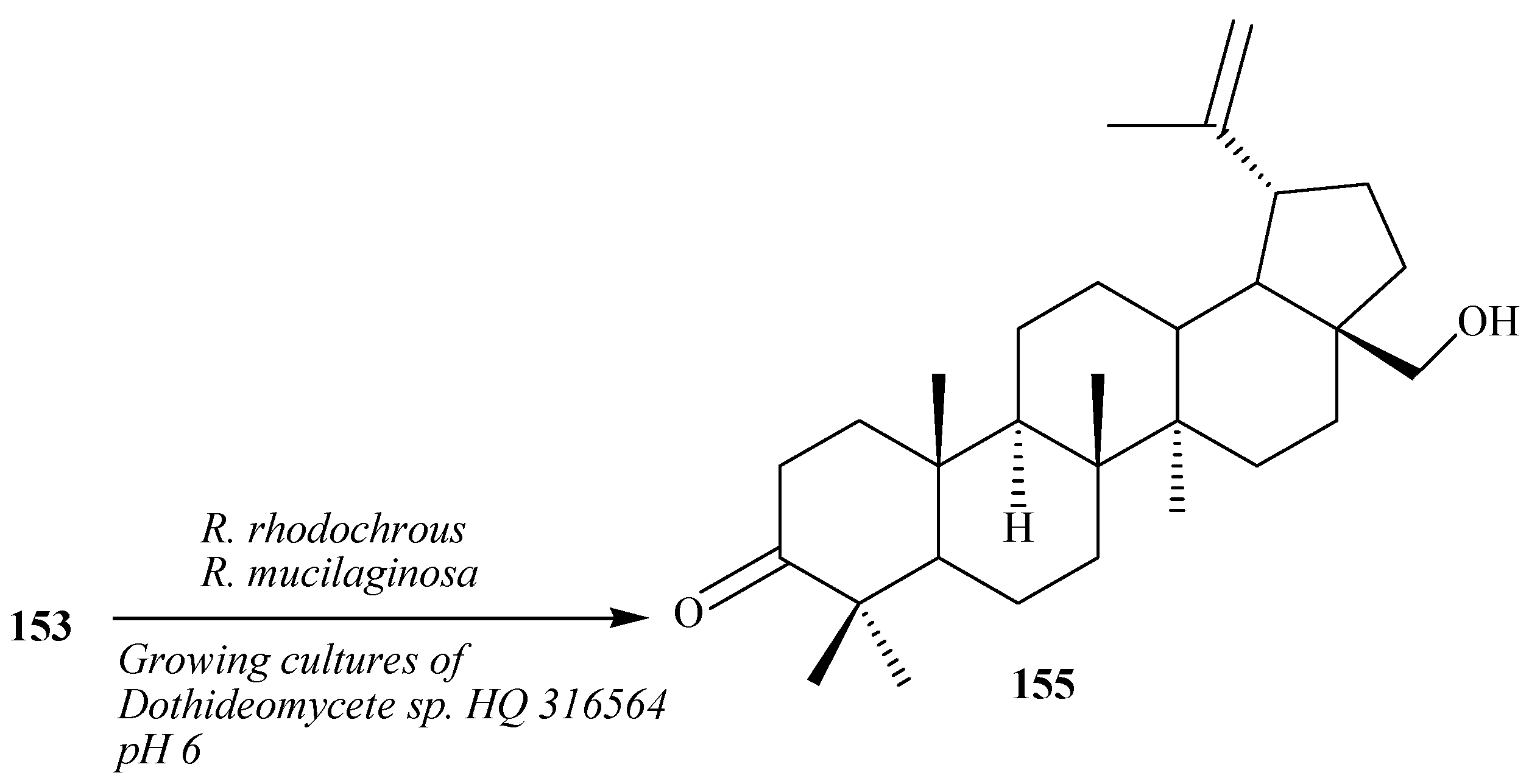Ijms 15 12027 g043 1024