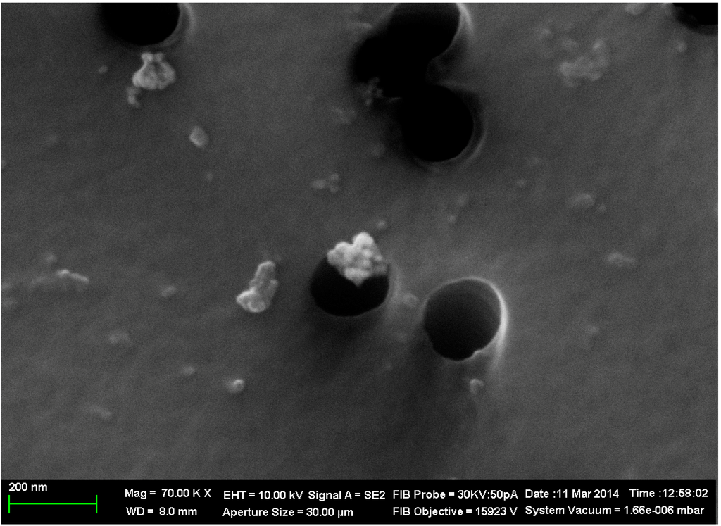 IJMS Free FullText Subchronic Toxicity of Copper Oxide