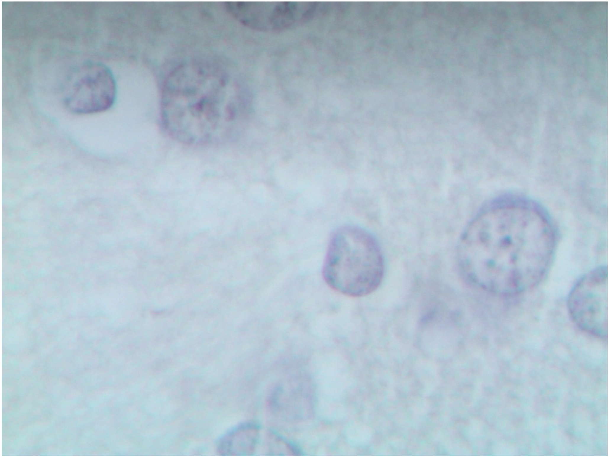 Ijms 15 12379 g011 1024