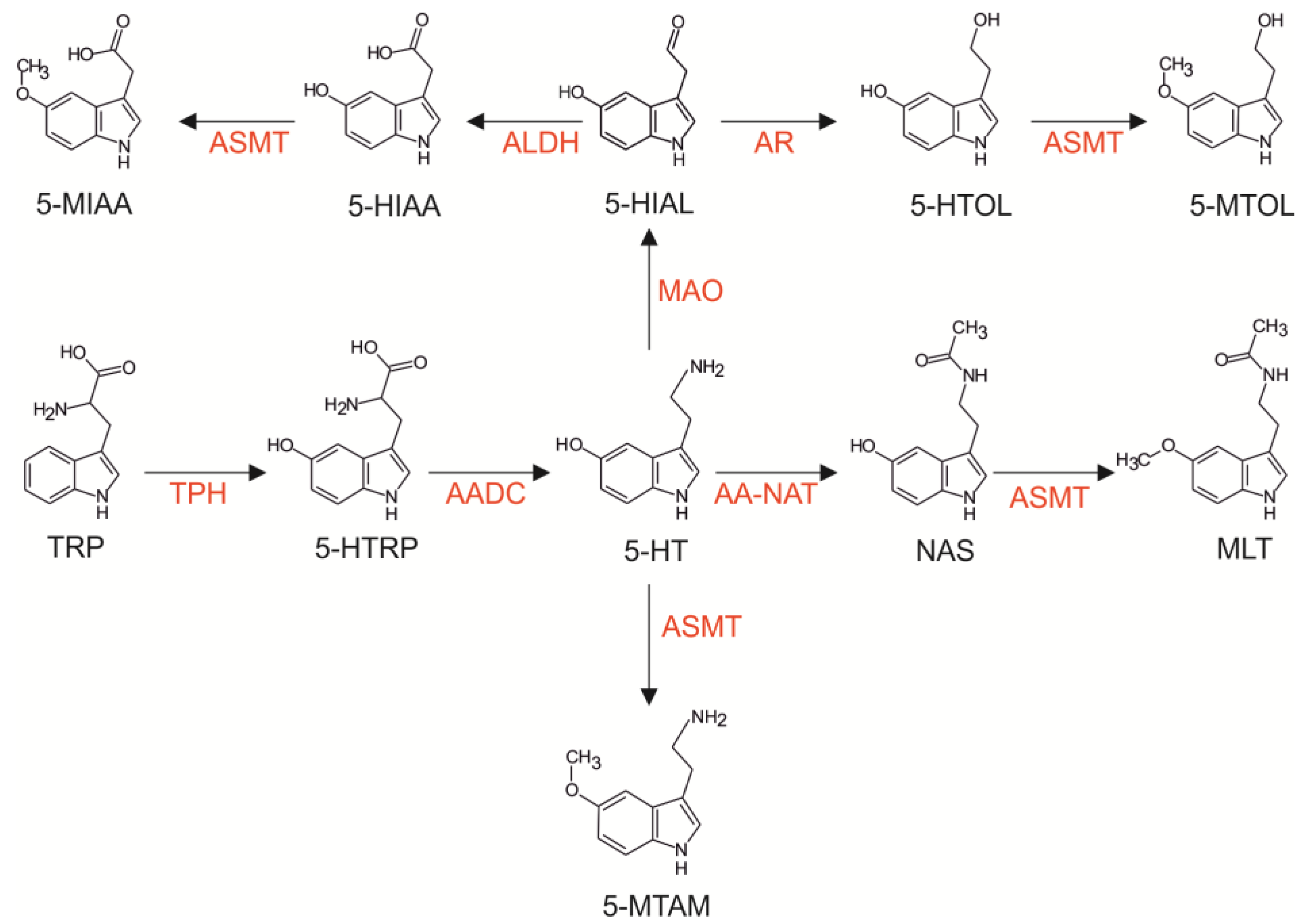 Ijms 15 12604 g001 1024