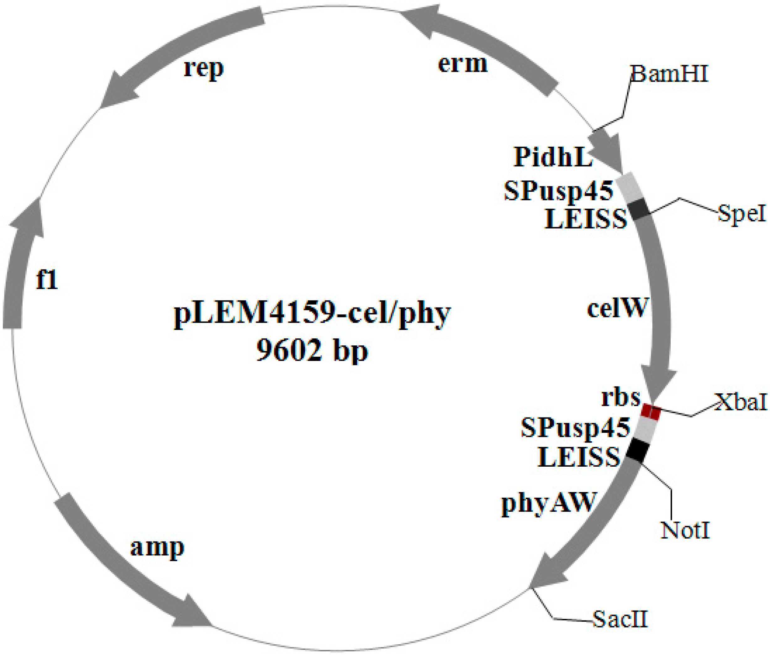 Ijms 15 12842 g001 1024