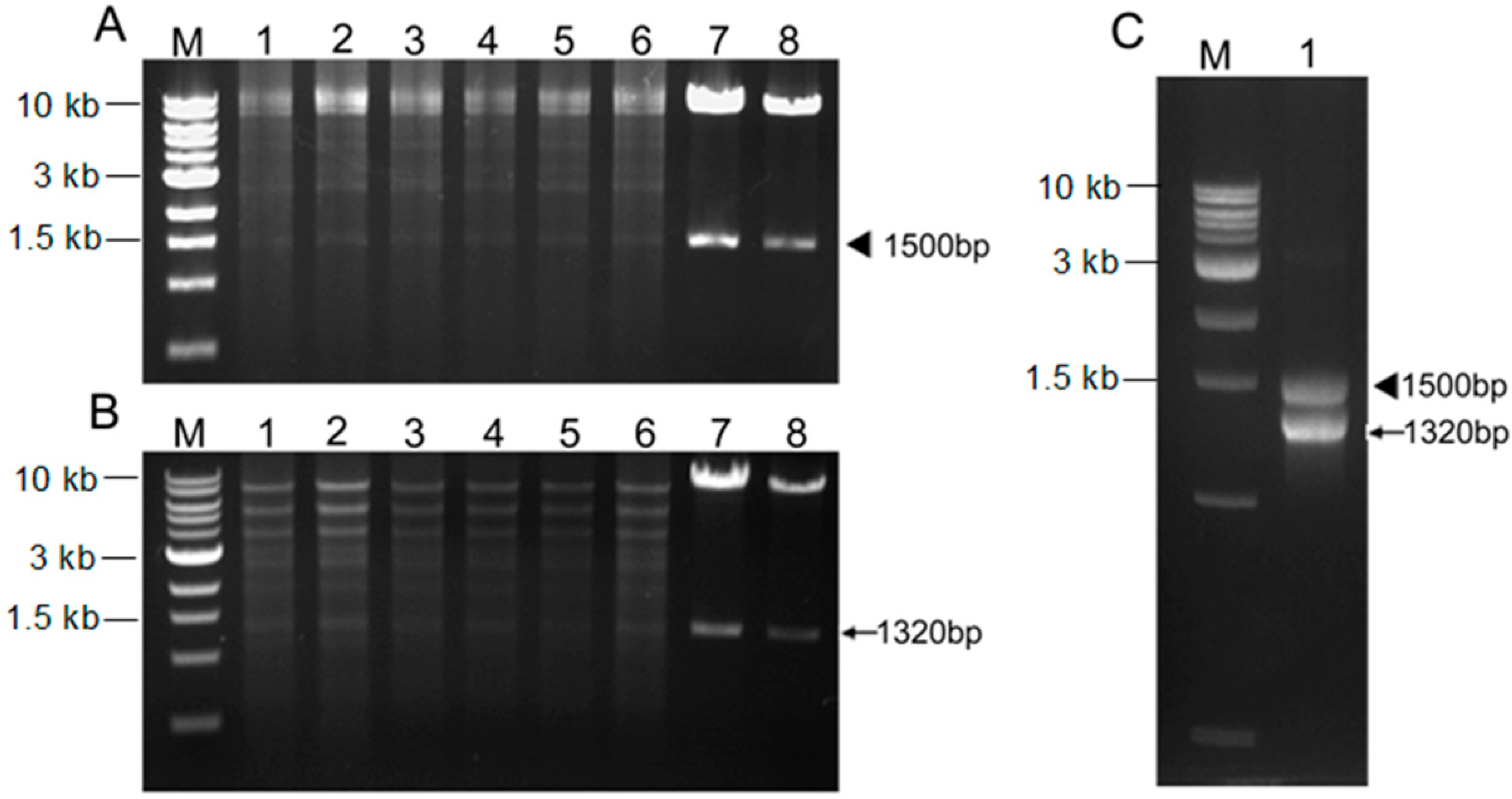 Ijms 15 12842 g002 1024