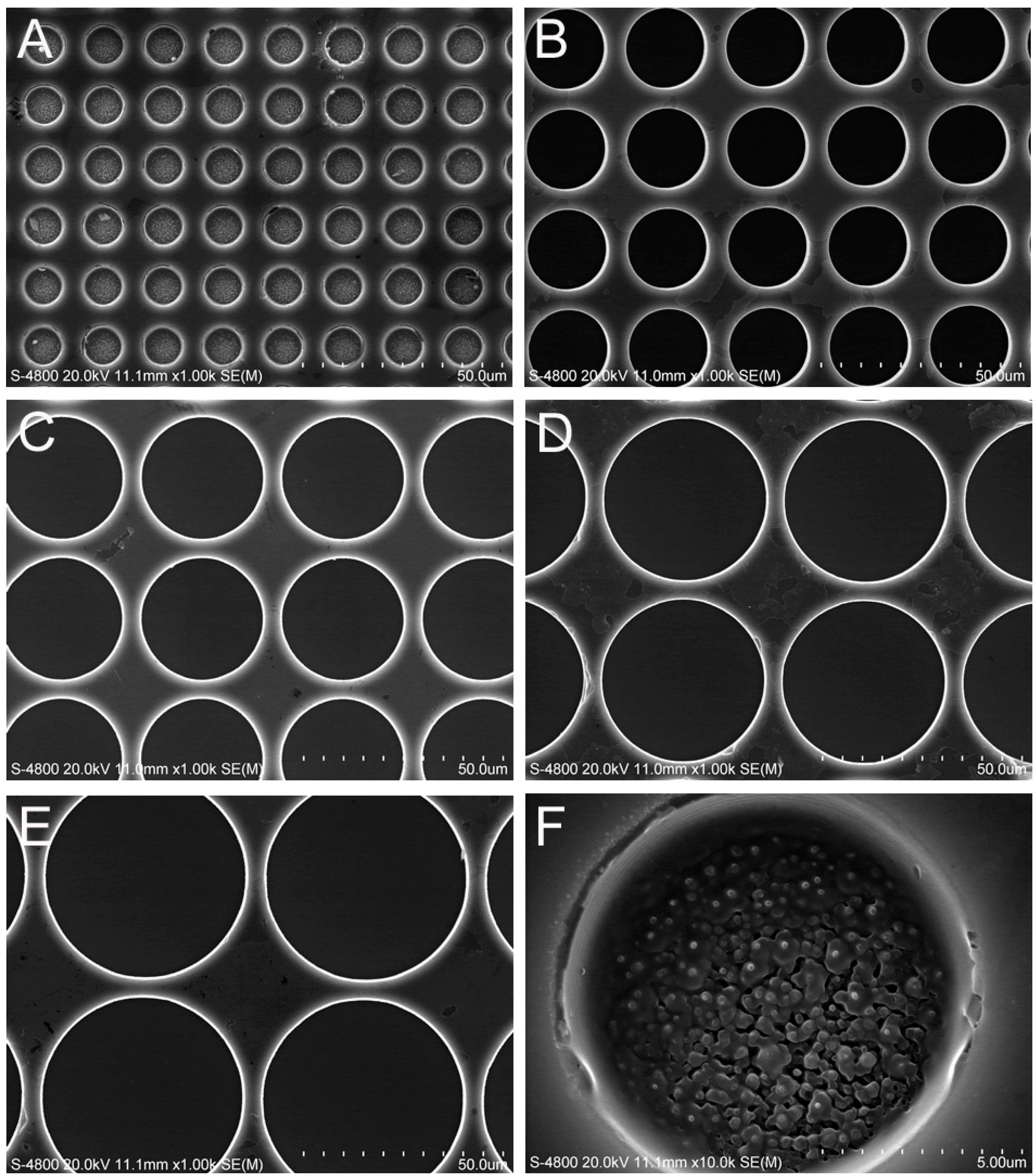 Ijms 15 12998 g001 1024