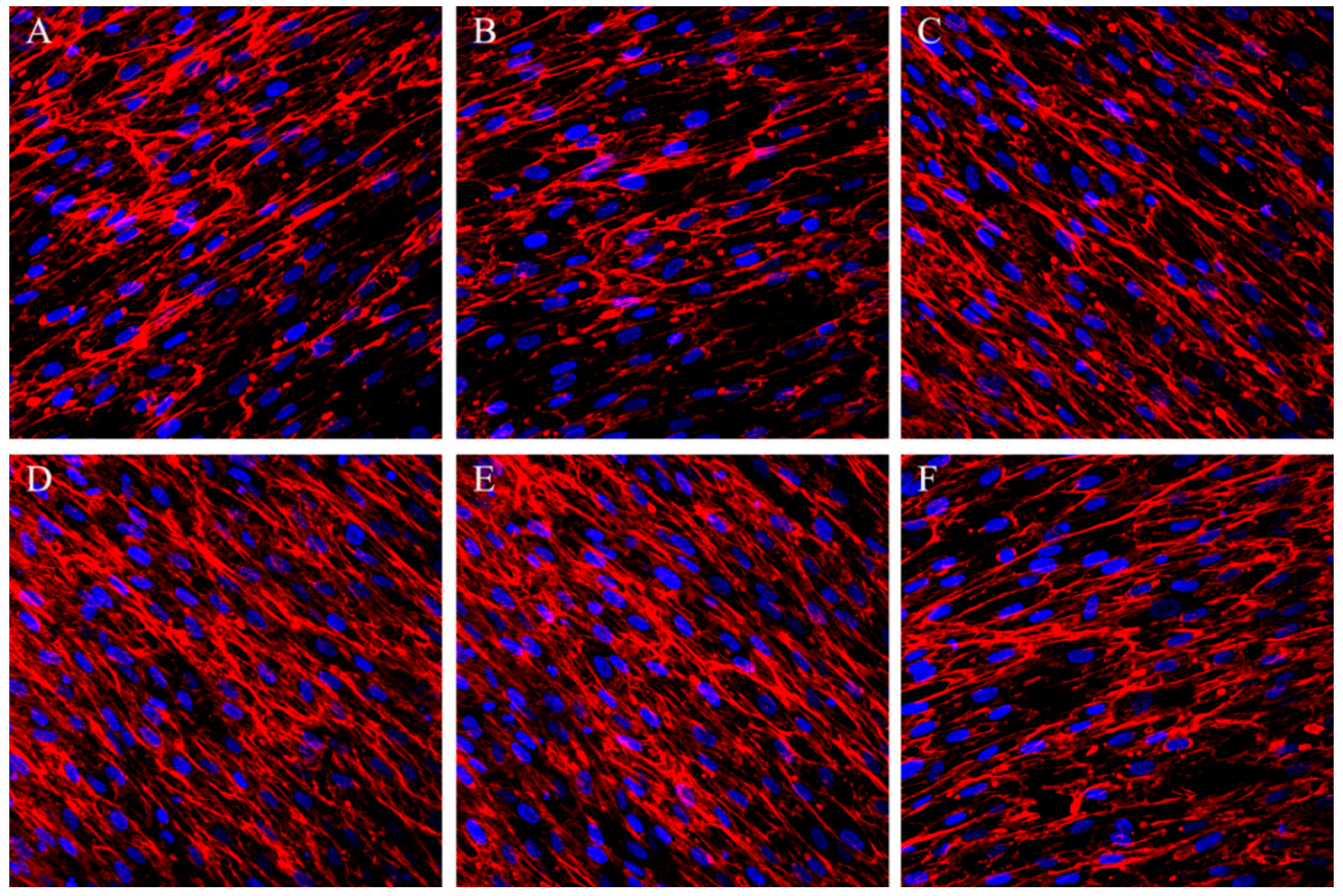 Ijms 15 12998 g005 1024