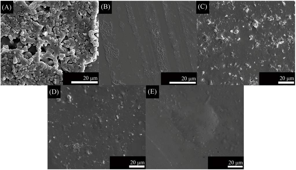 Ijms 15 13030 g002 1024