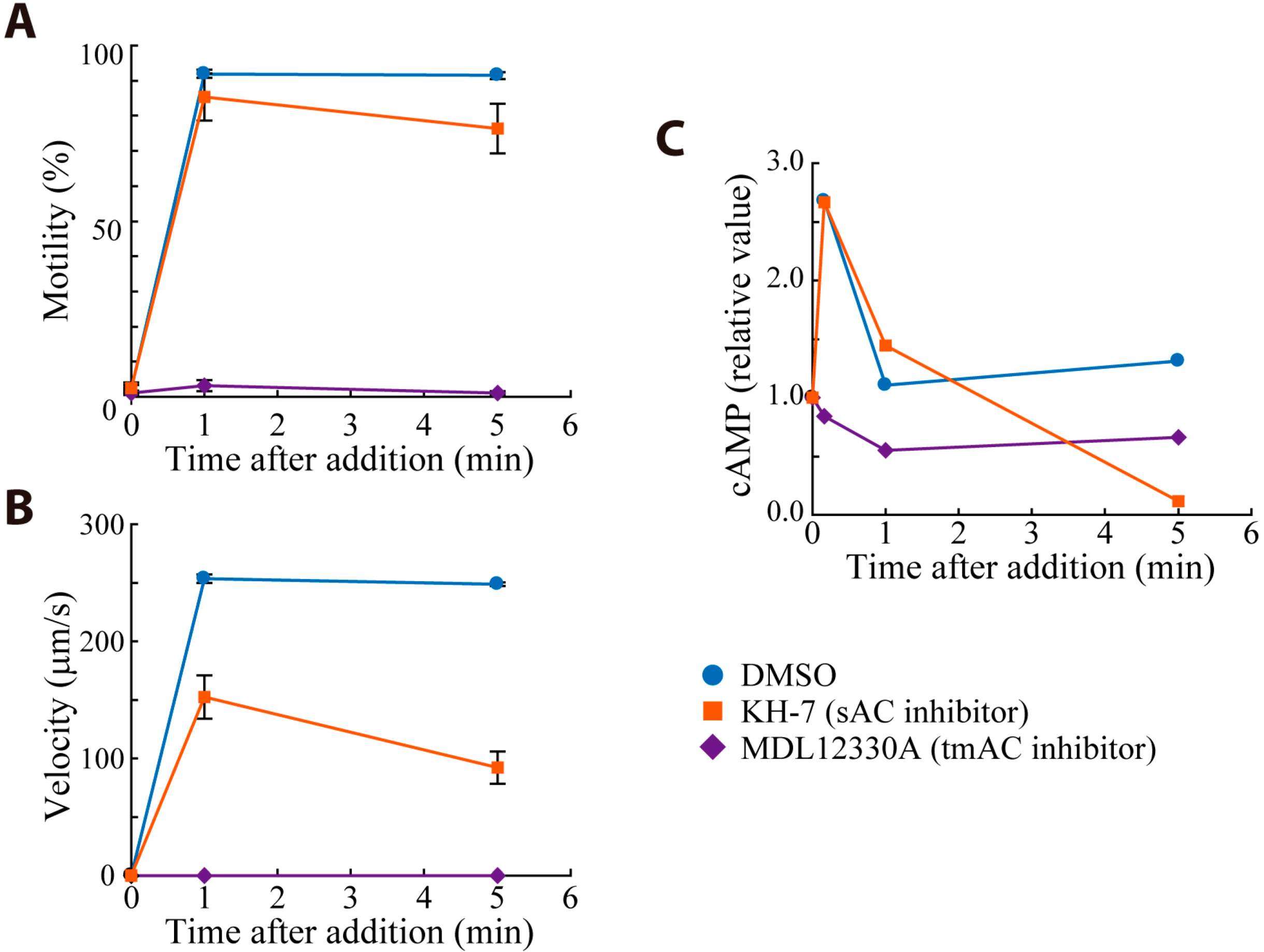 Ijms 15 13192 g003 1024