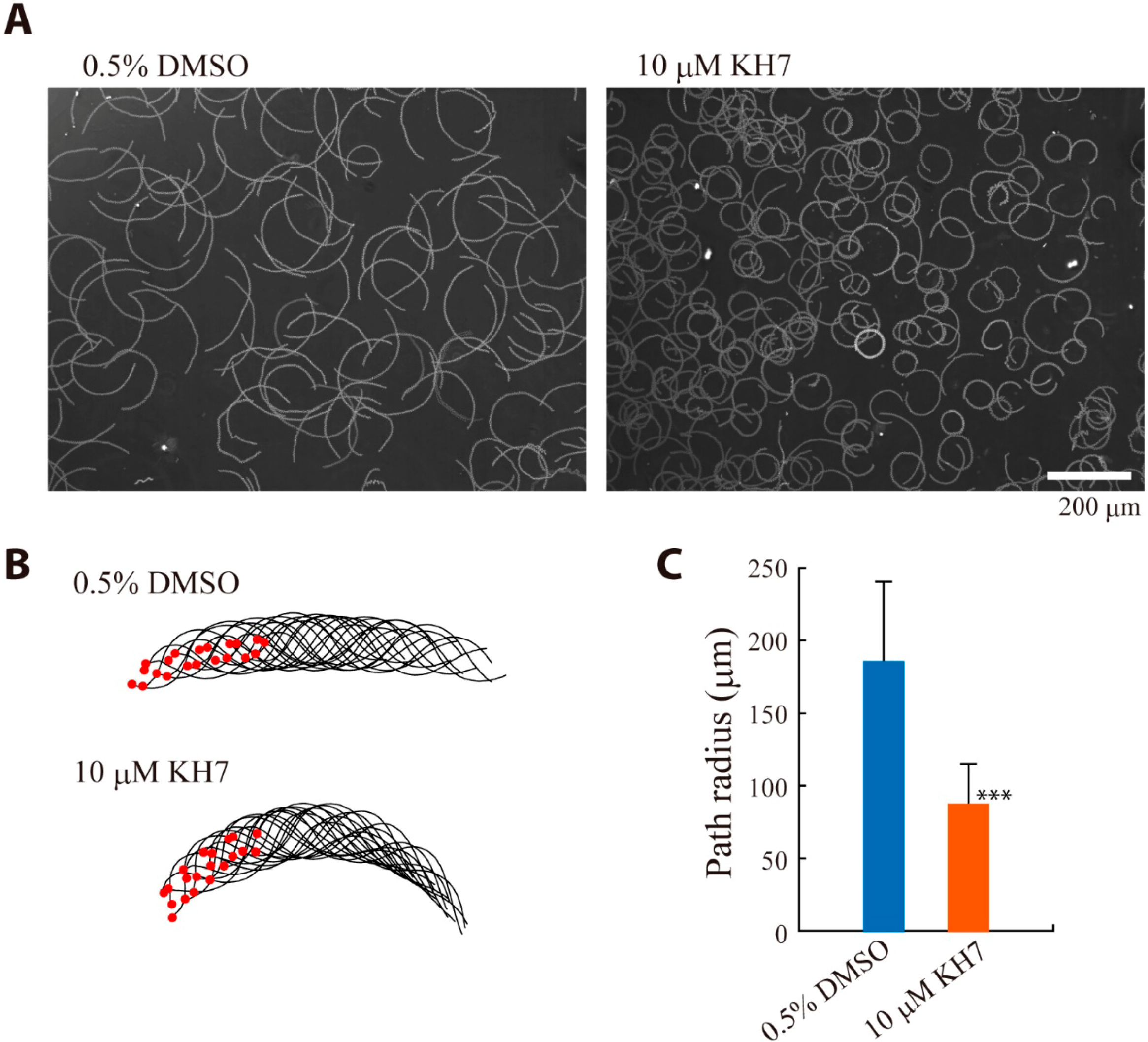 Ijms 15 13192 g007 1024