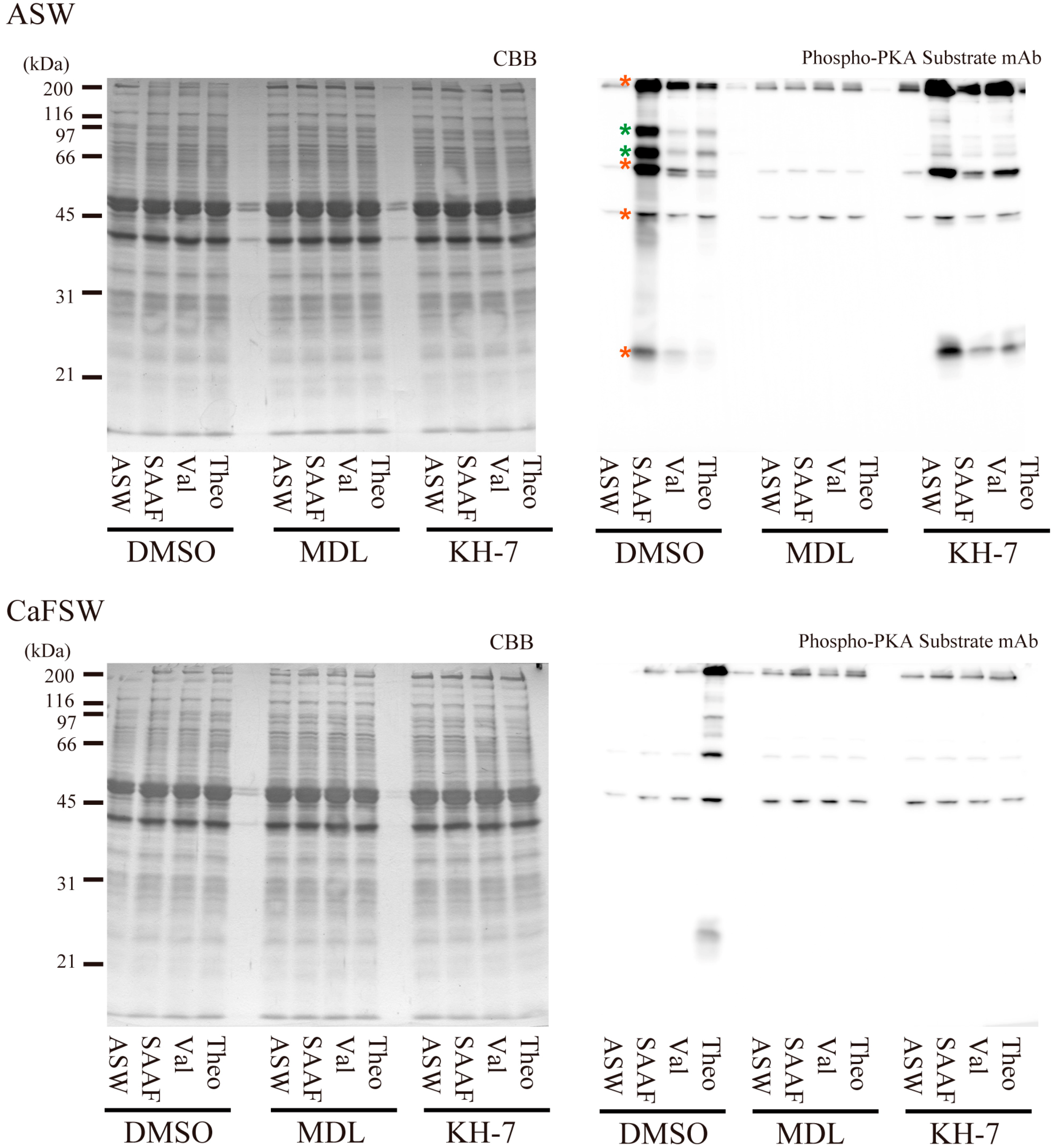 Ijms 15 13192 g008 1024