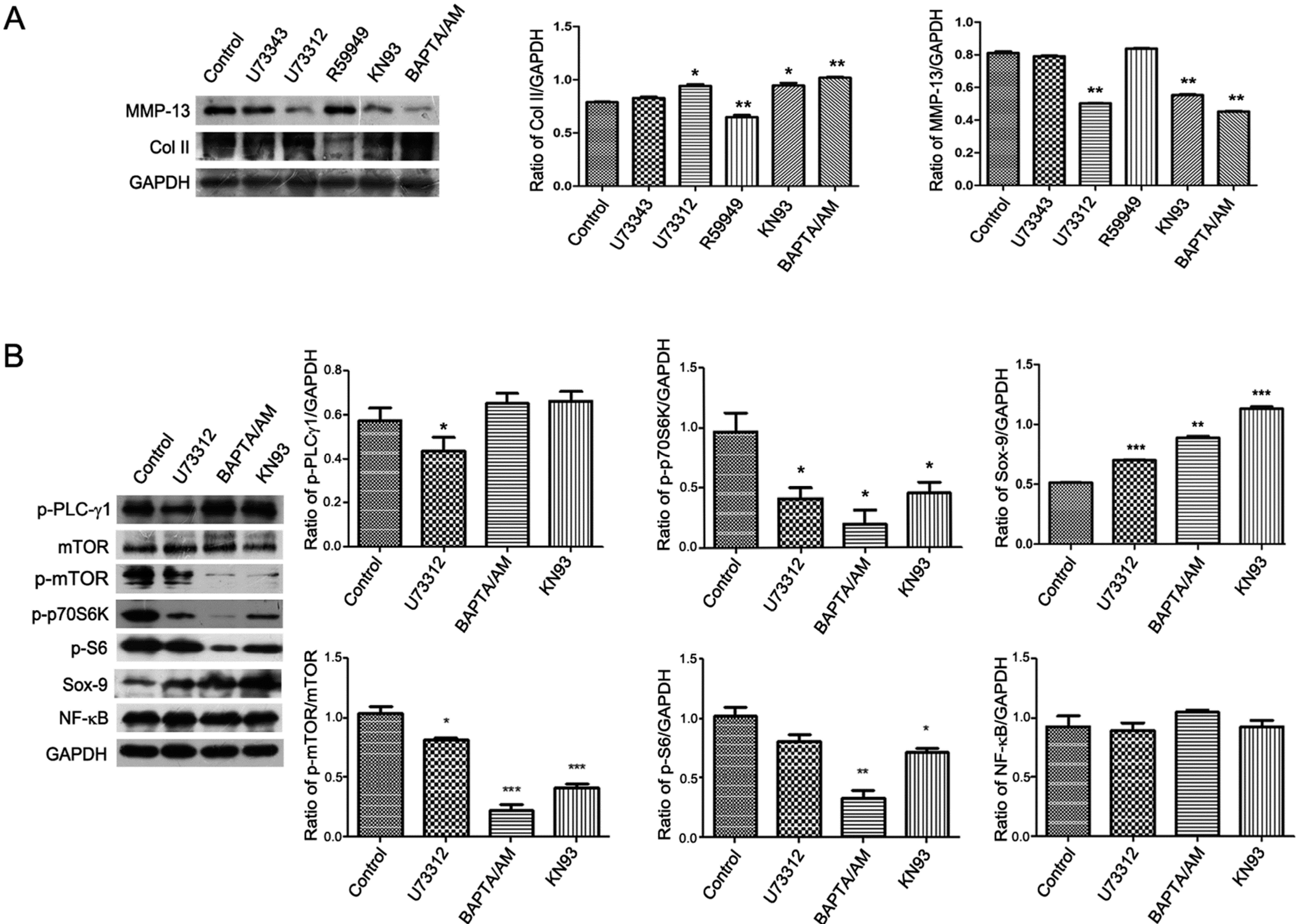 Ijms 15 13236 g003 1024