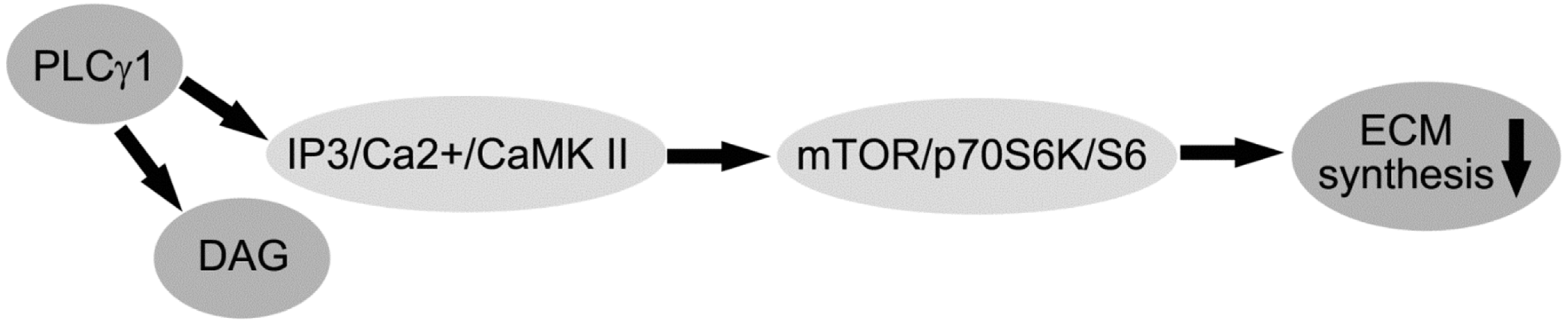 Ijms 15 13236 g004 1024