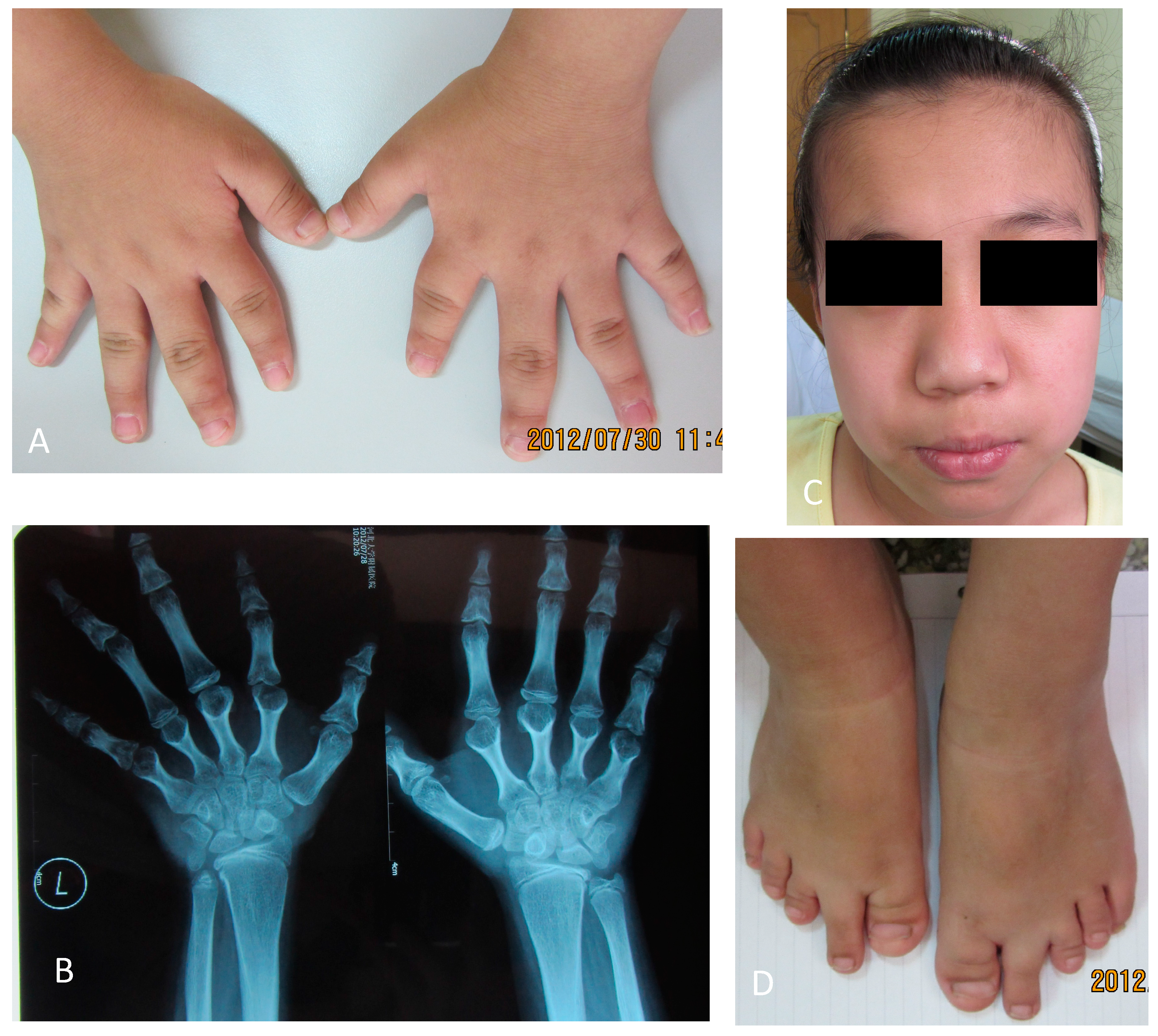 Ijms 15 13267 g001 1024